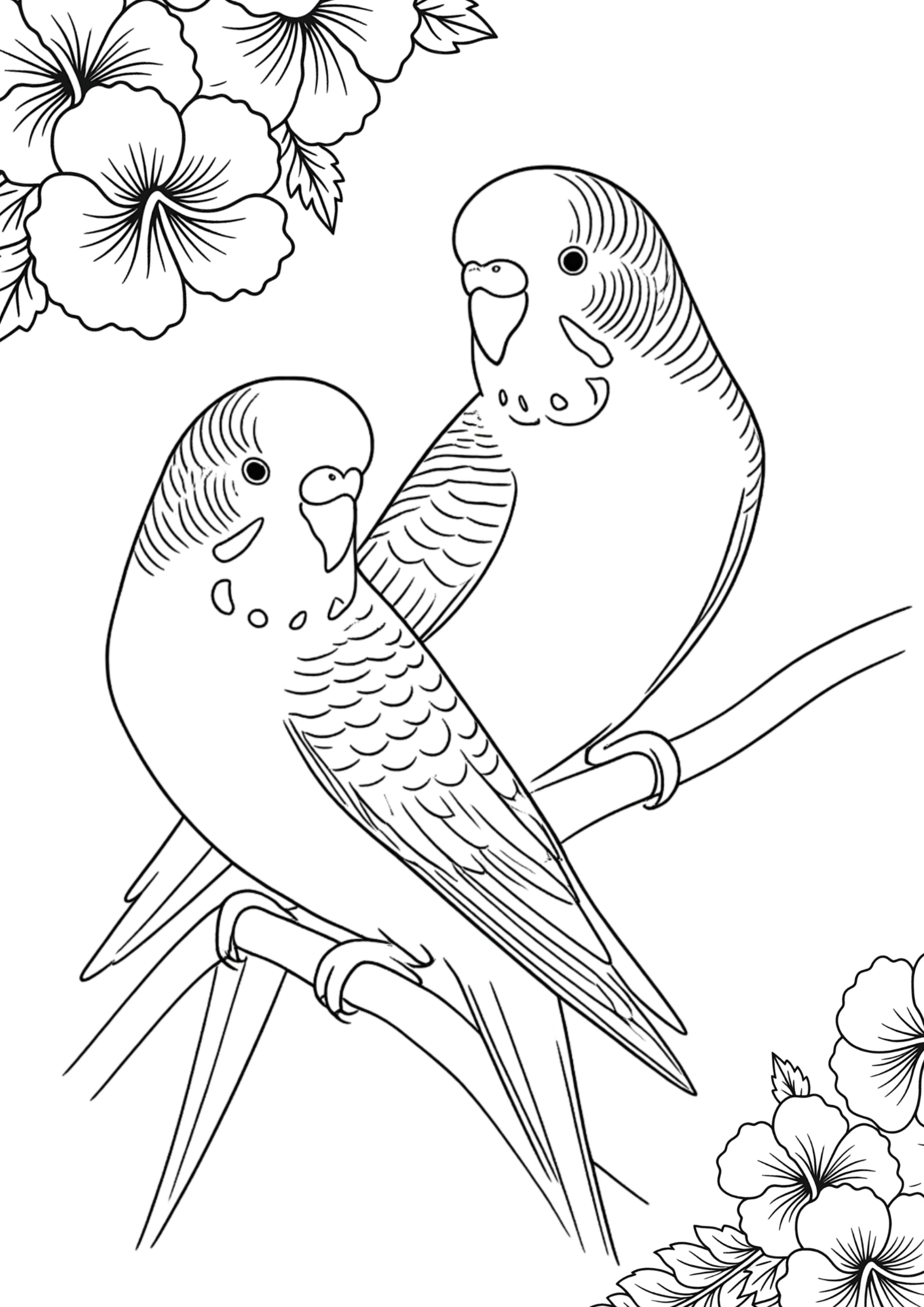 A4 Fine Art Colouring Sheet Pack | 5 Bird Designs