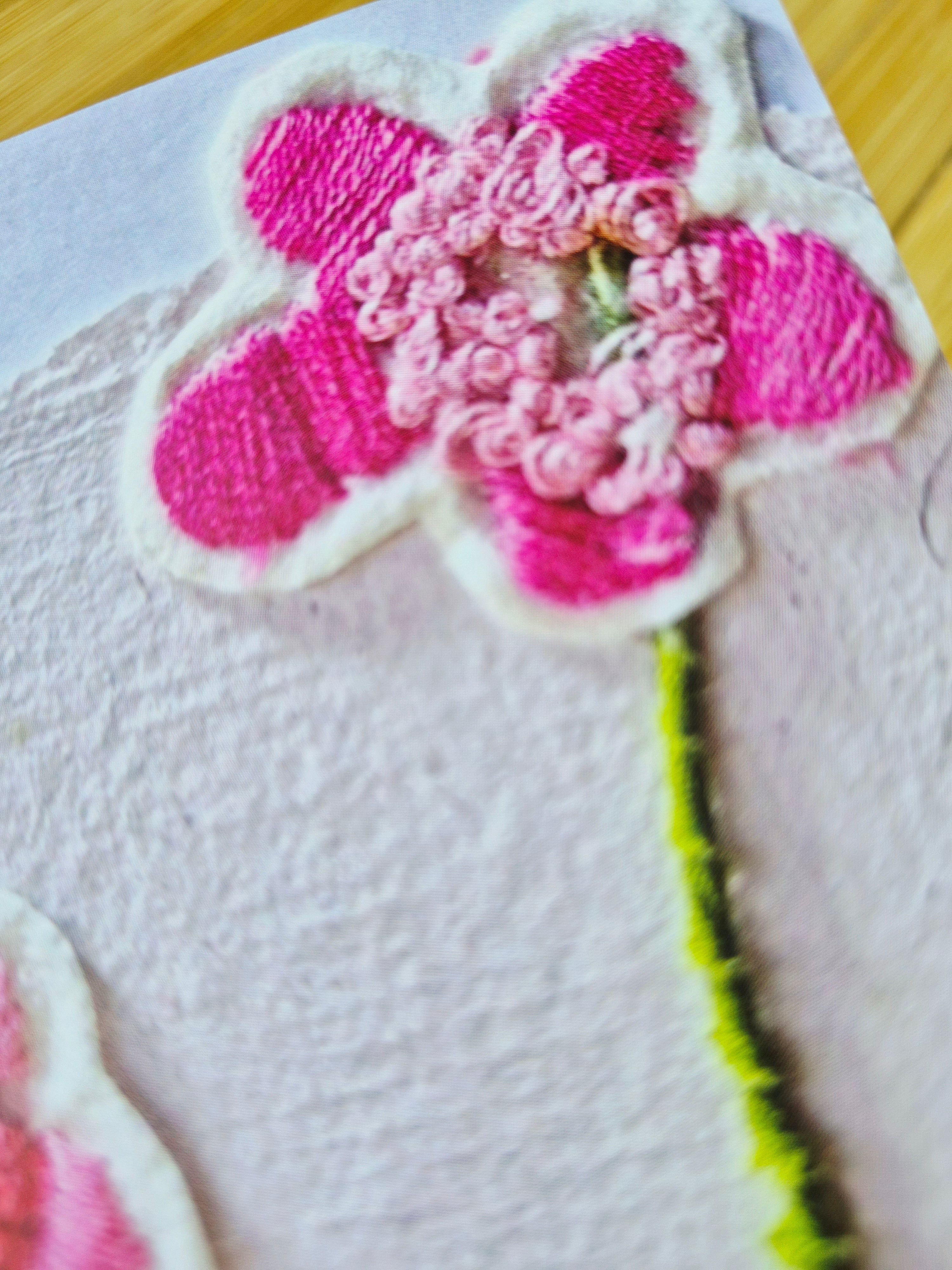 Panses in the breeze Gift Card