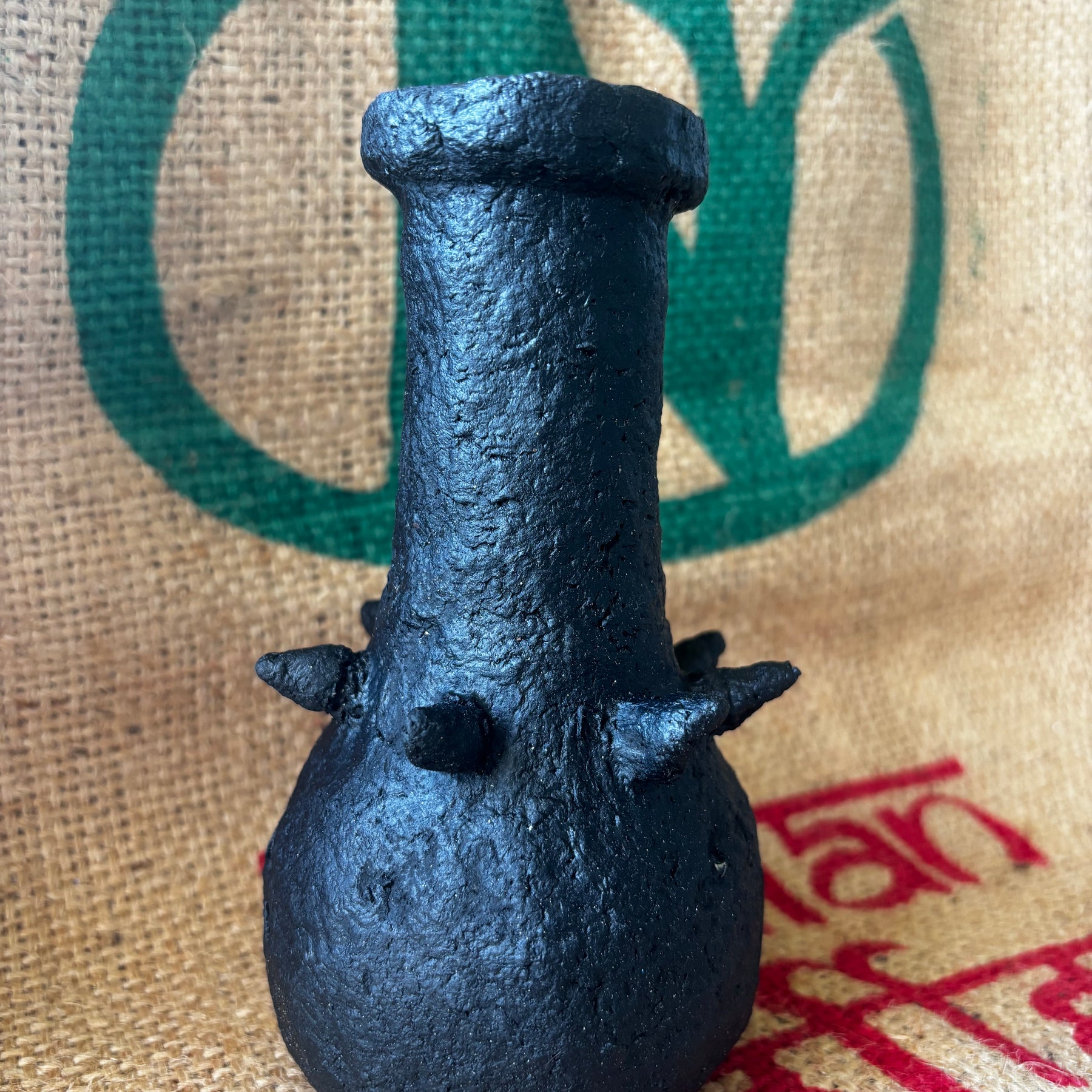 Little spiked black beauty