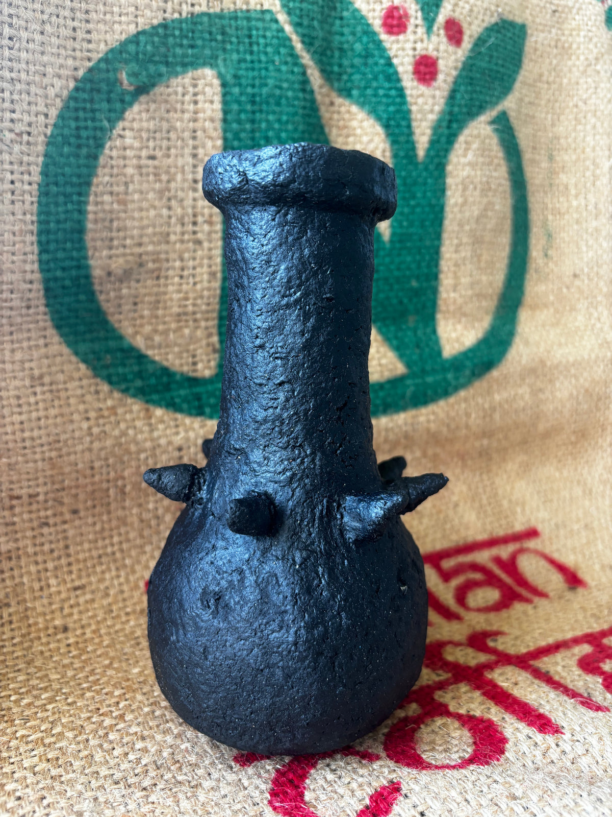 Little spiked black beauty
