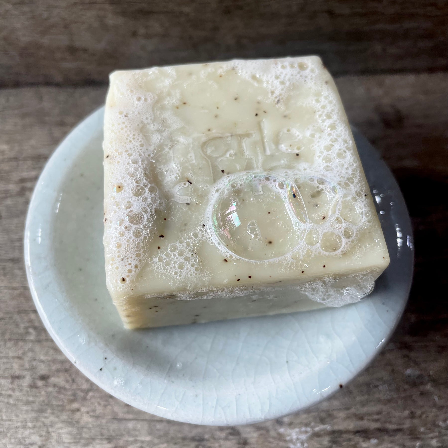 TEA TREE HEMP SEED