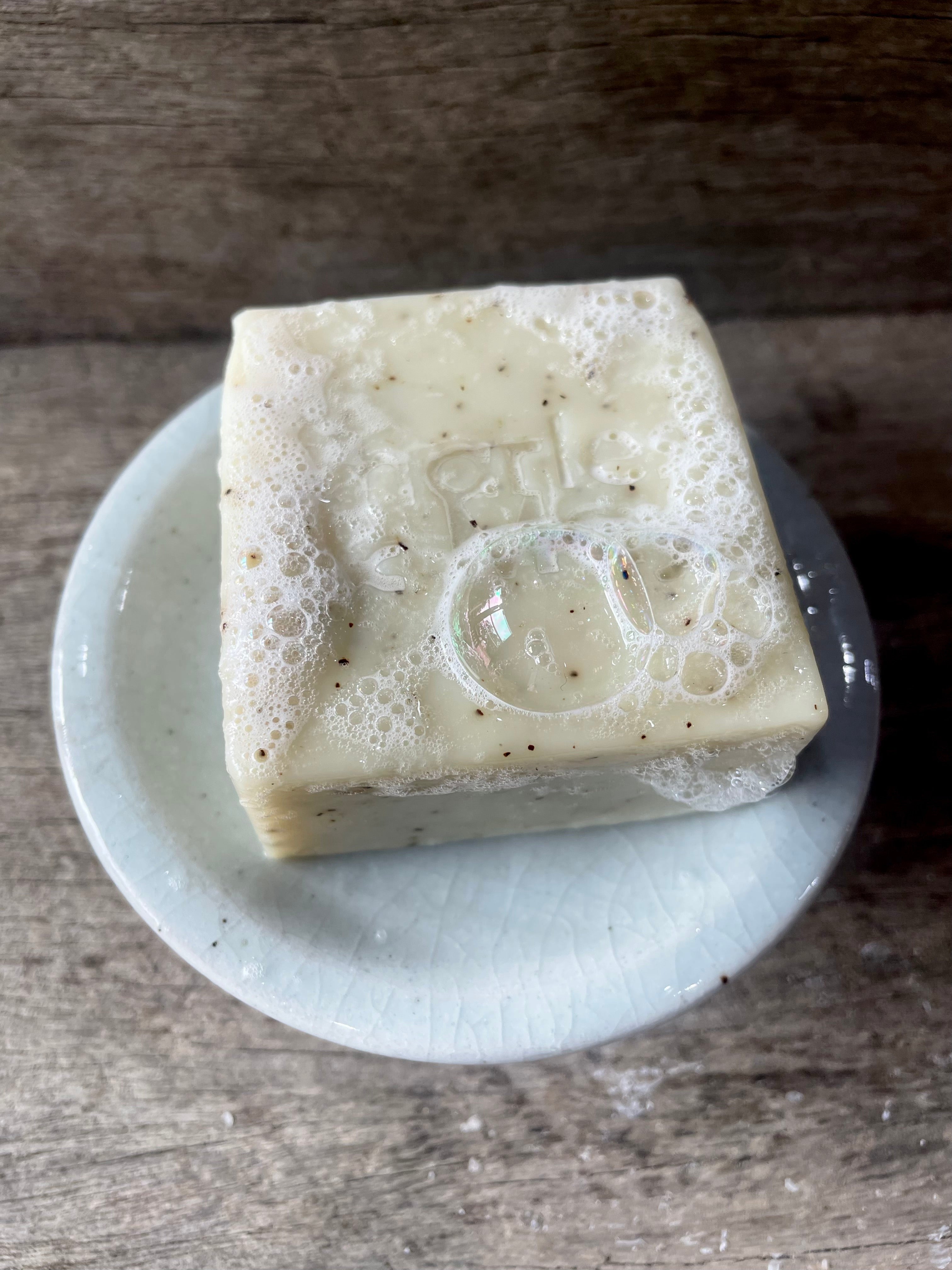 TEA TREE HEMP SEED
