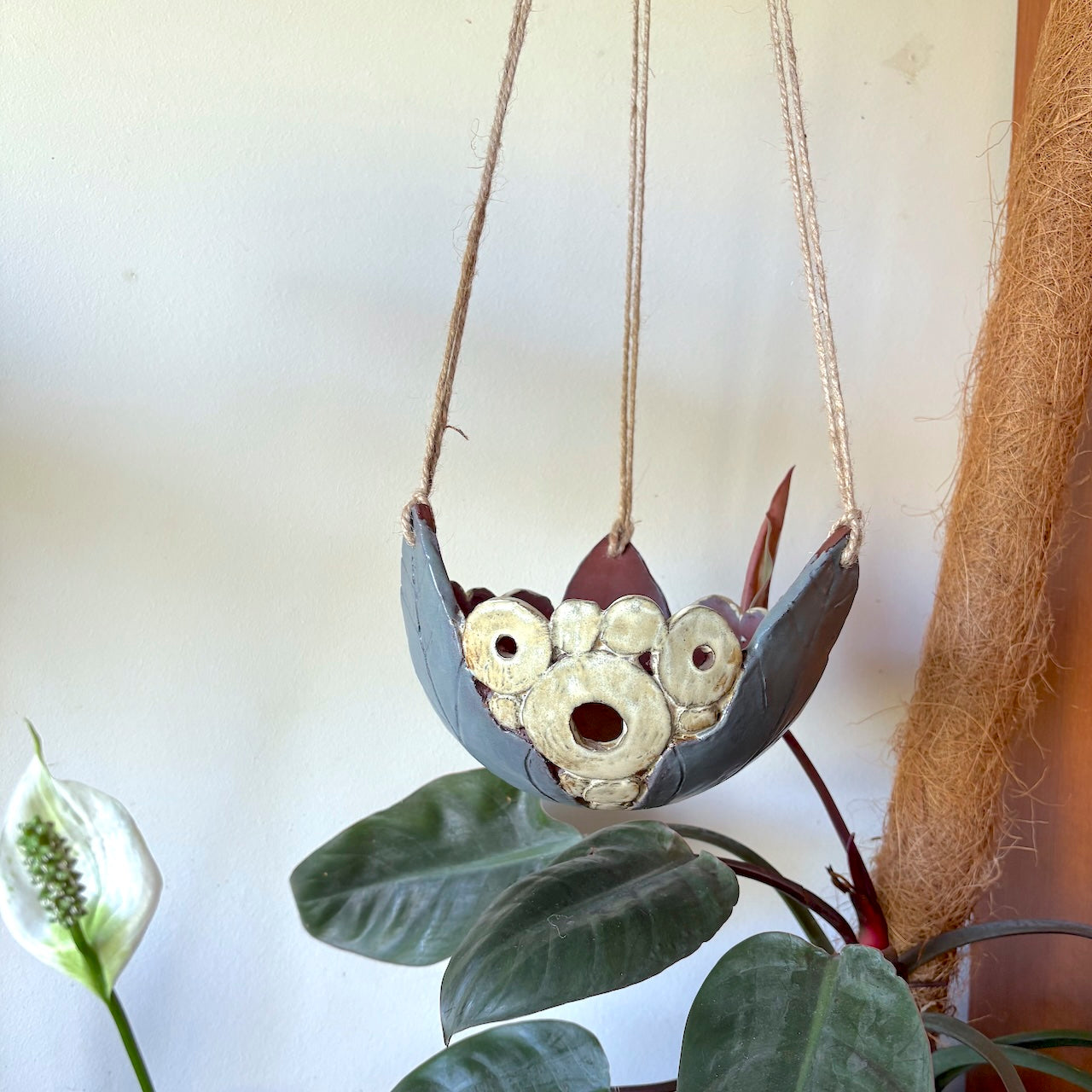 Ceramic dome hanging orchid pot