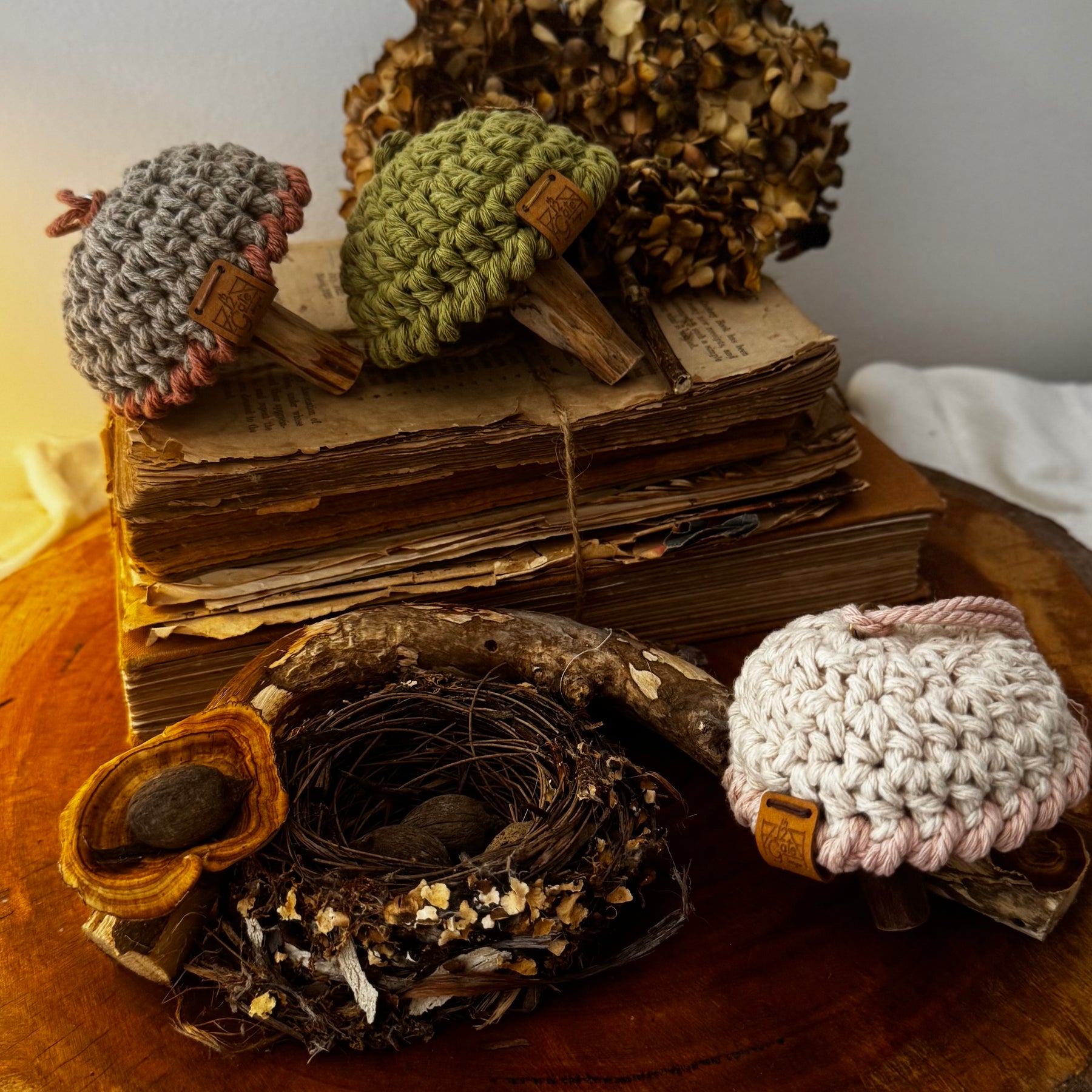 Magic Mushroom Decoration