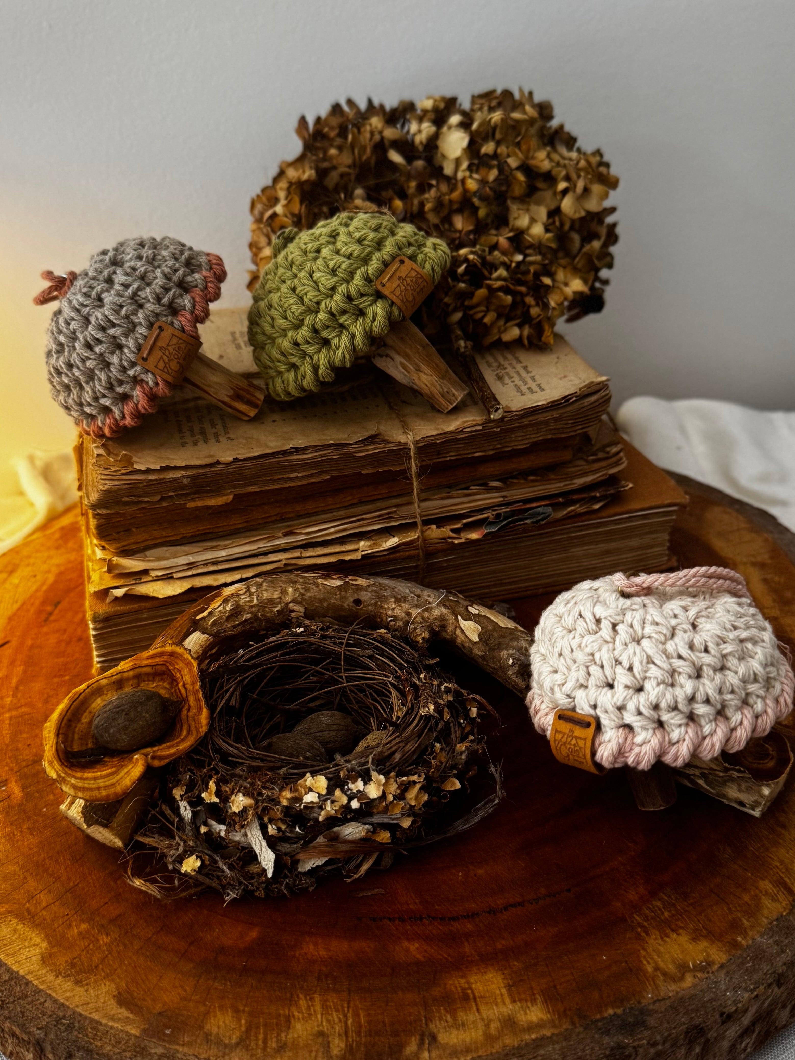Magic Mushroom Decoration