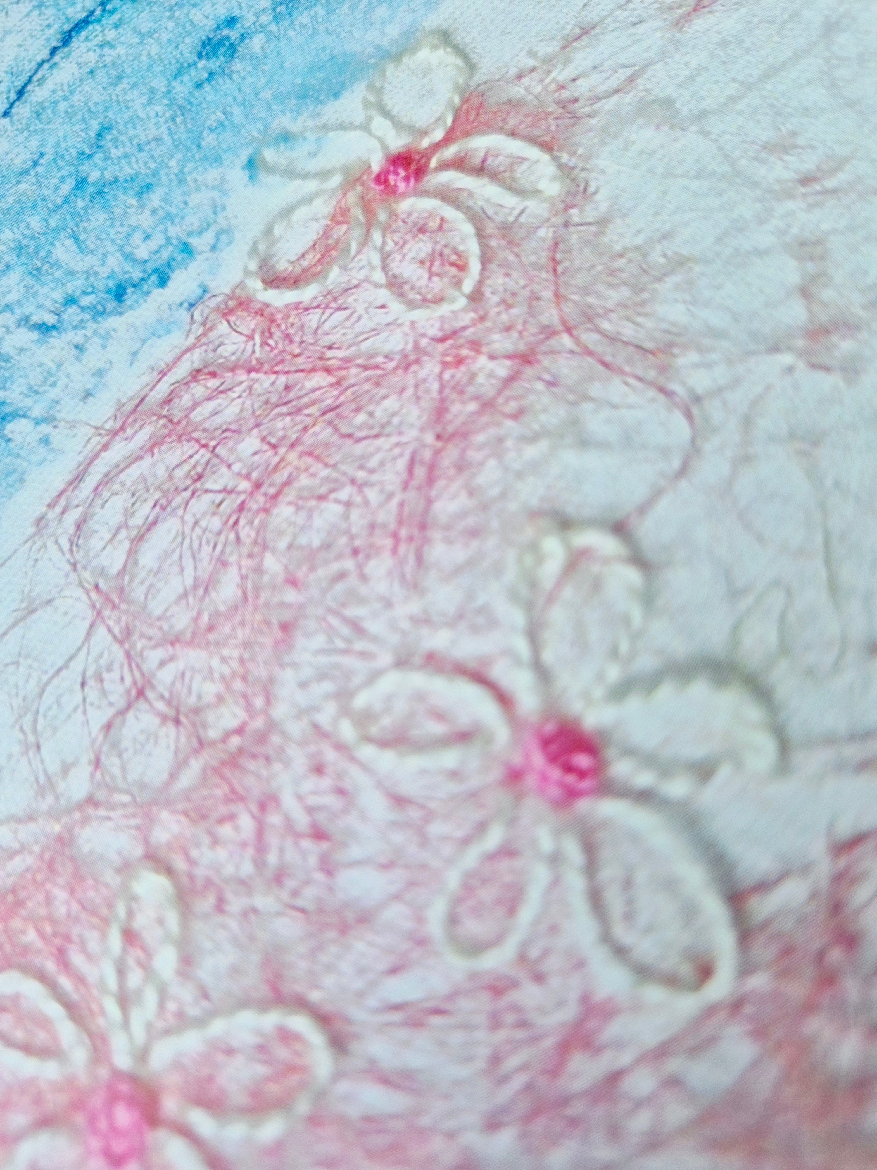 Blank Card Peaceful Days