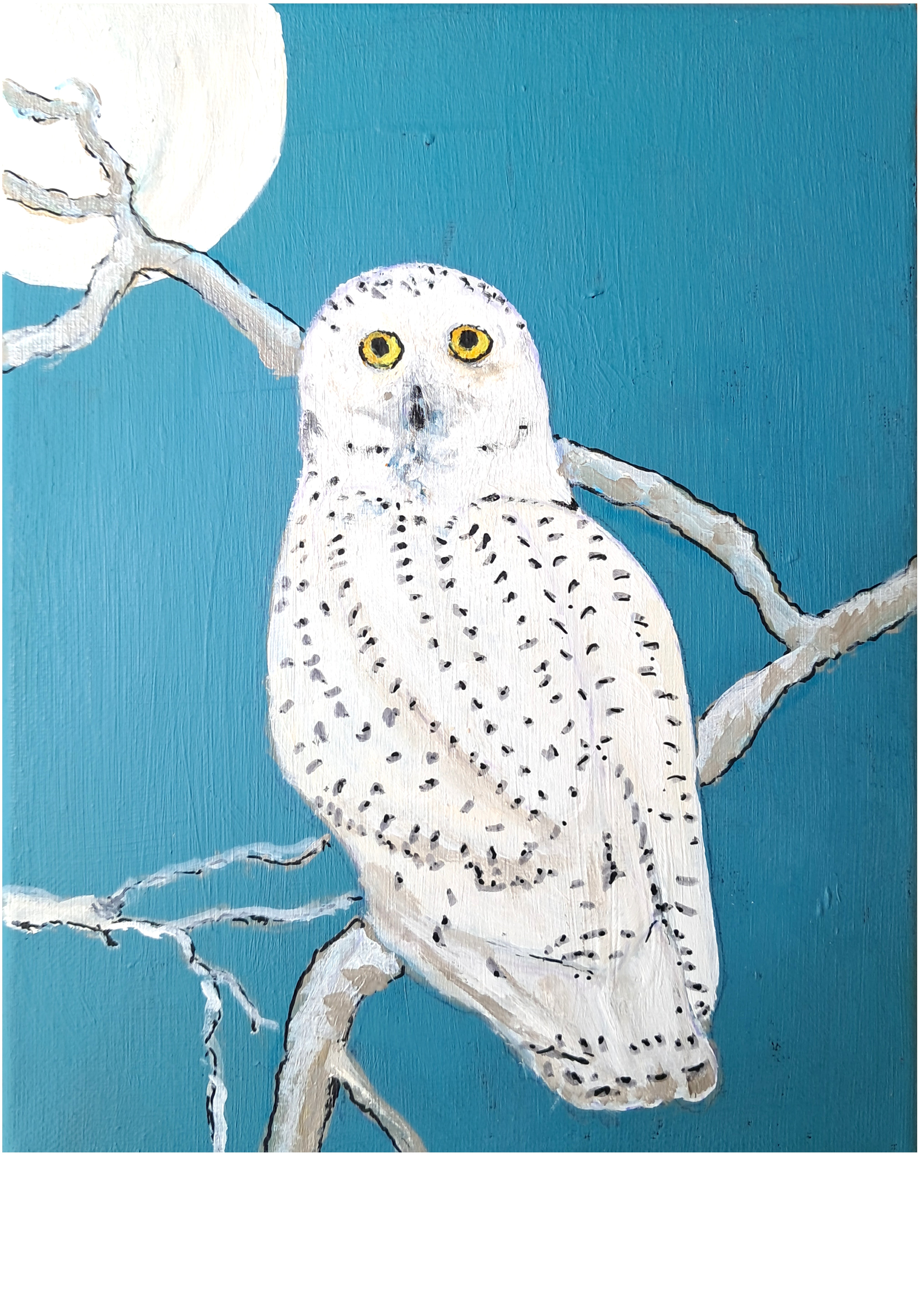 Owl Snowy Owl Original Painting