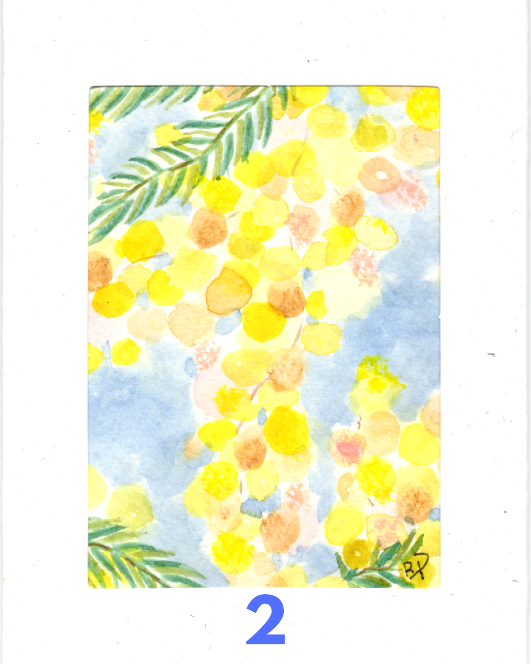 Original Hand-Painted Greeting Card I Wattle Collection