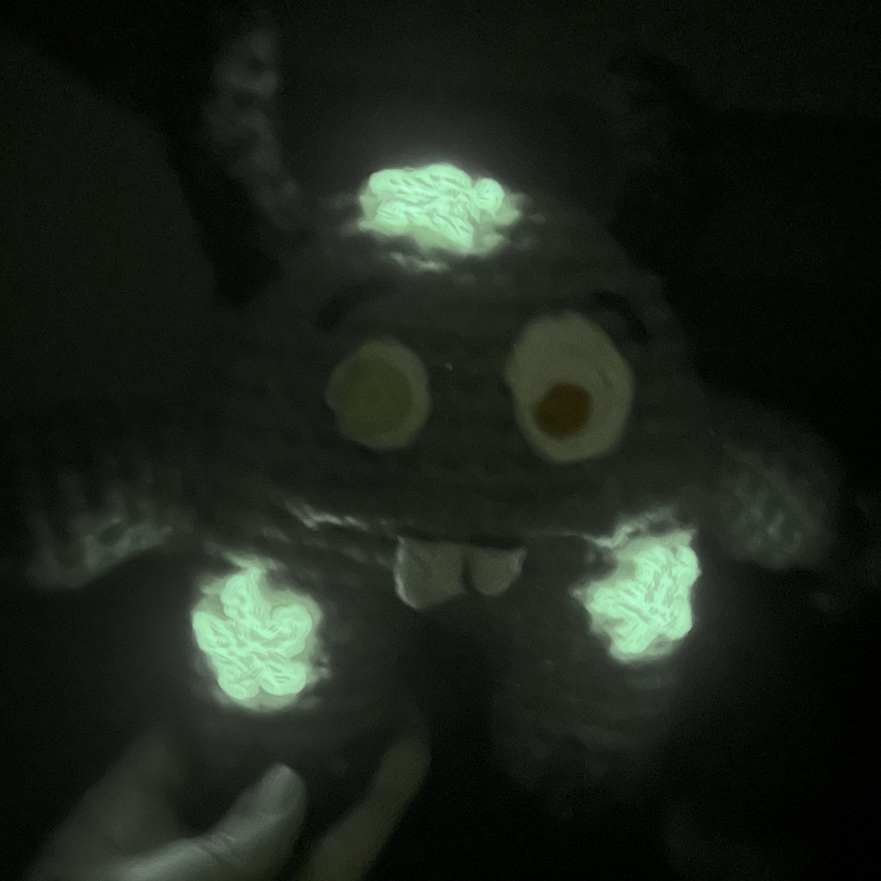 Monty the Comfort Monster with Glow Stars - Green
