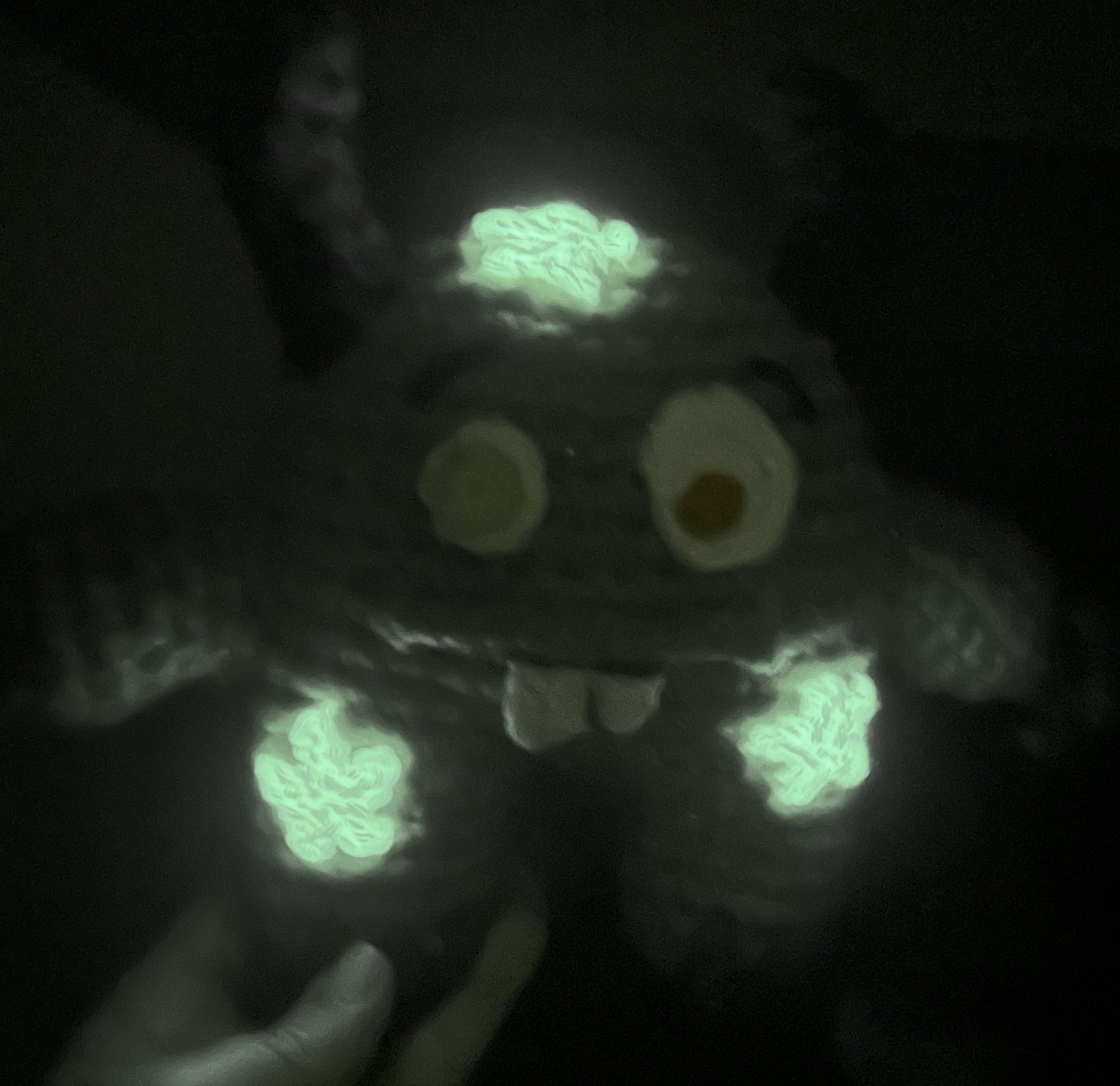 Monty the Comfort Monster with Glow Stars - Green
