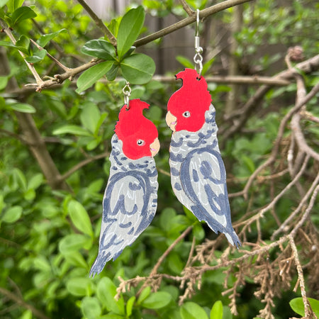 Gang Gang Cockatoo | Australian Native Bird | Earrings