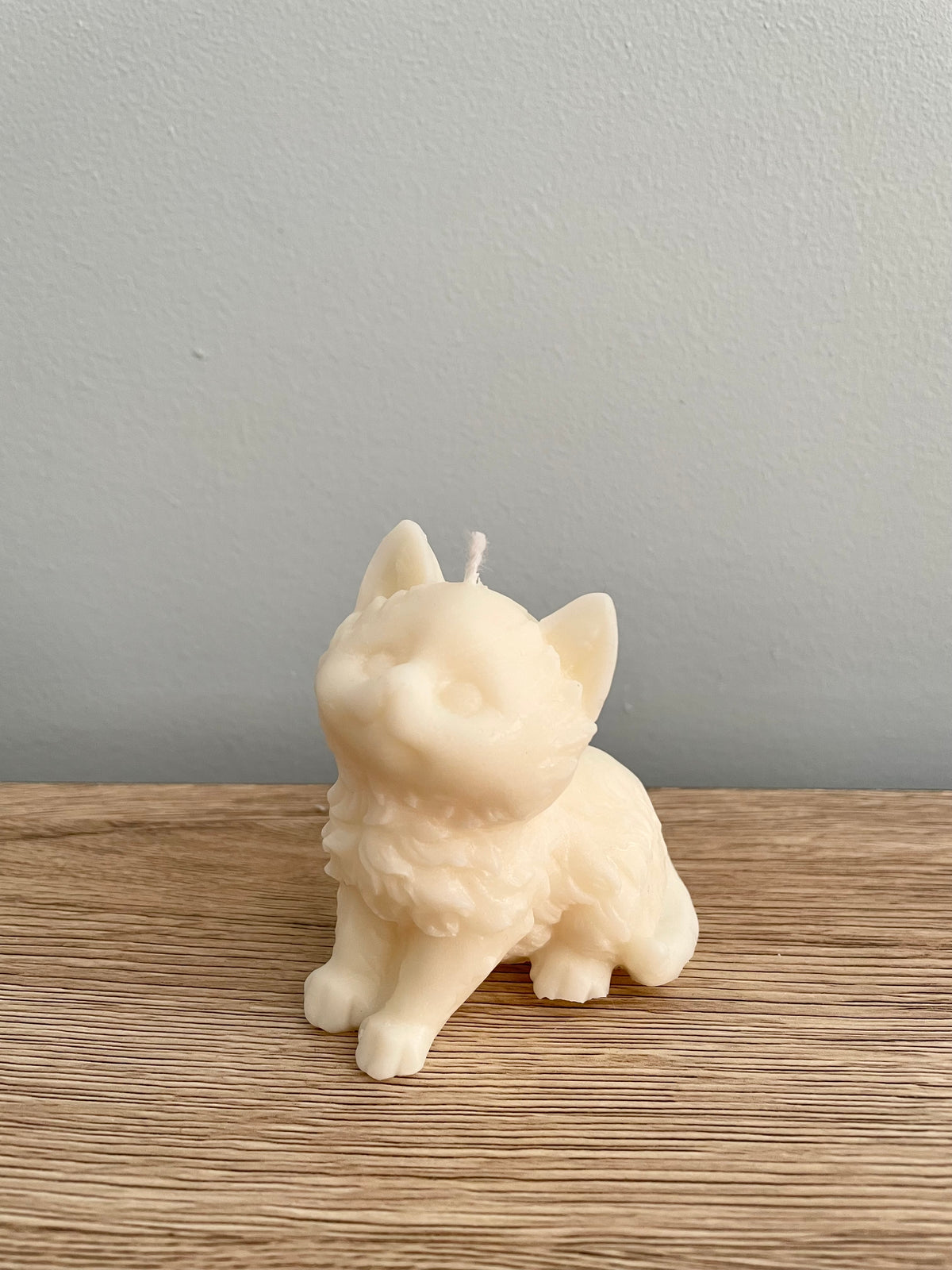 Custom Cat Candle