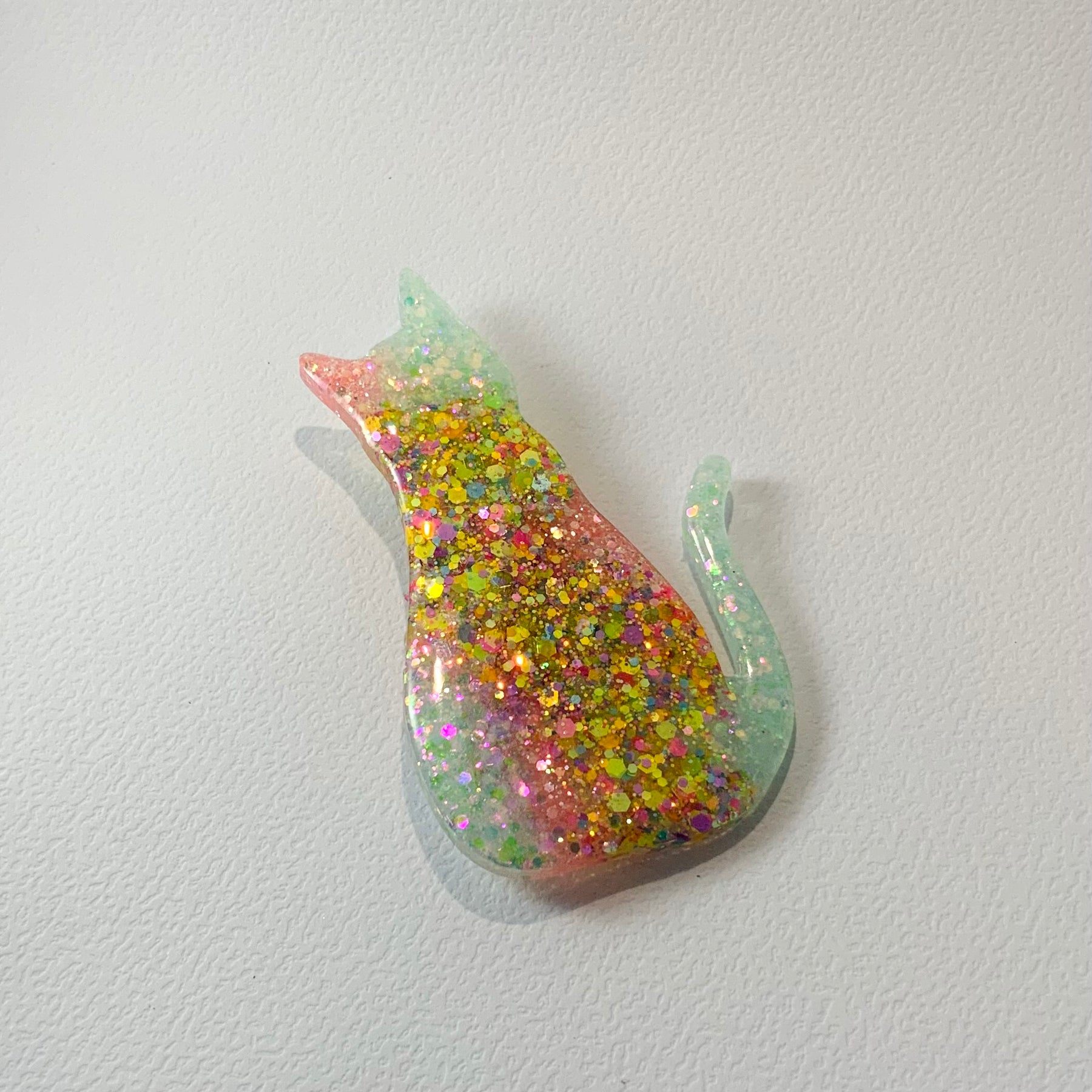 WHISKERS AND WONDER - Handmade Resin Brooch