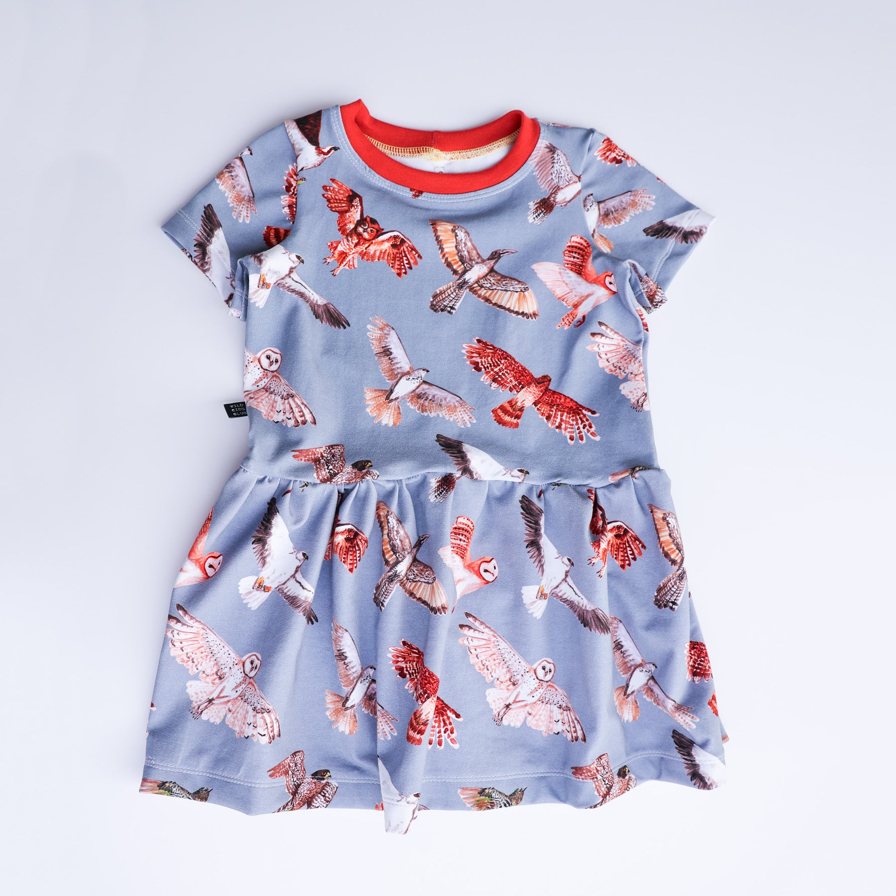 Take flight organic cotton dress 2026-27