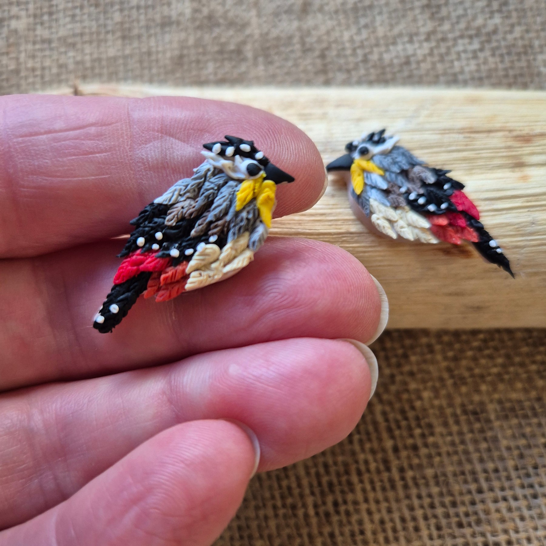 Mini Spotted Pardalote Studs