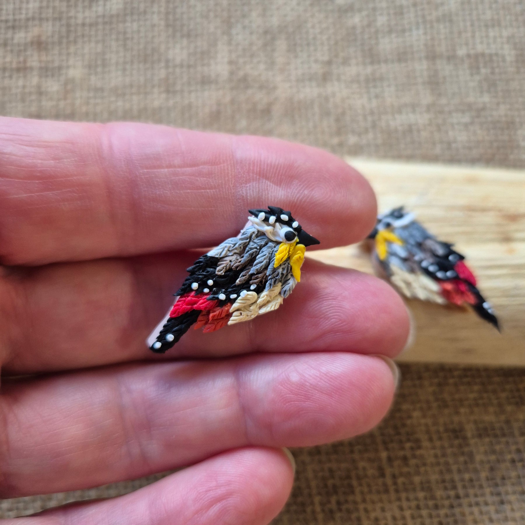 Mini Spotted Pardalote Studs