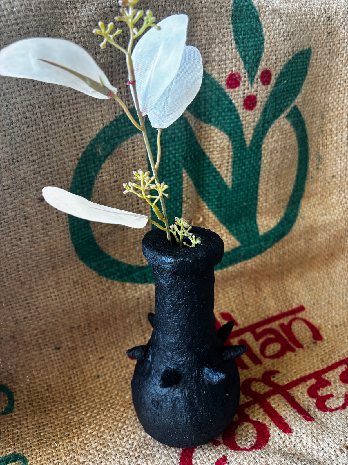 Little spiked black beauty