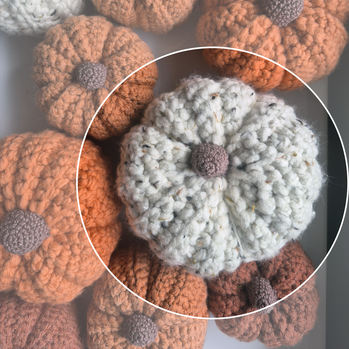 PUMPKIN MAGIC | Brown Freckled Cream
