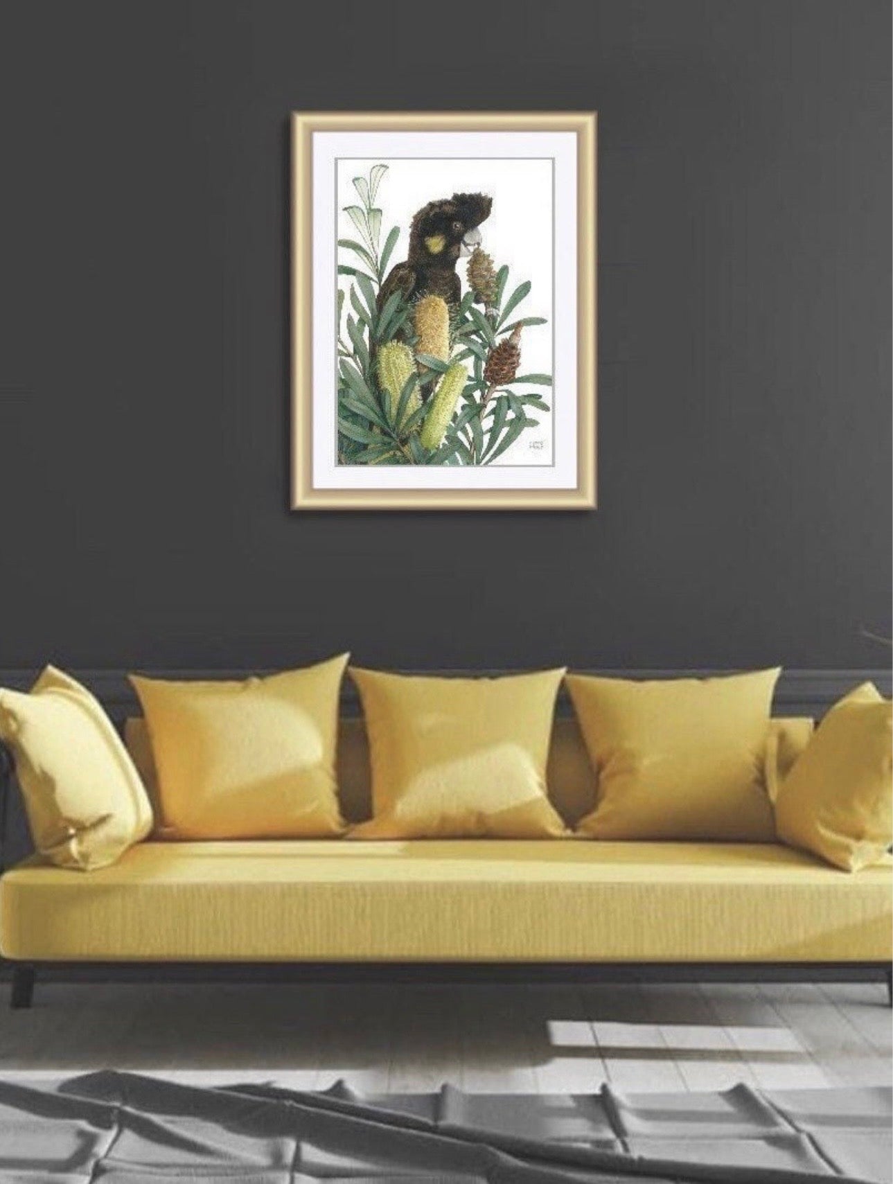 Yellow Tailed Black Cockatoo art print by Debra Meier Art.