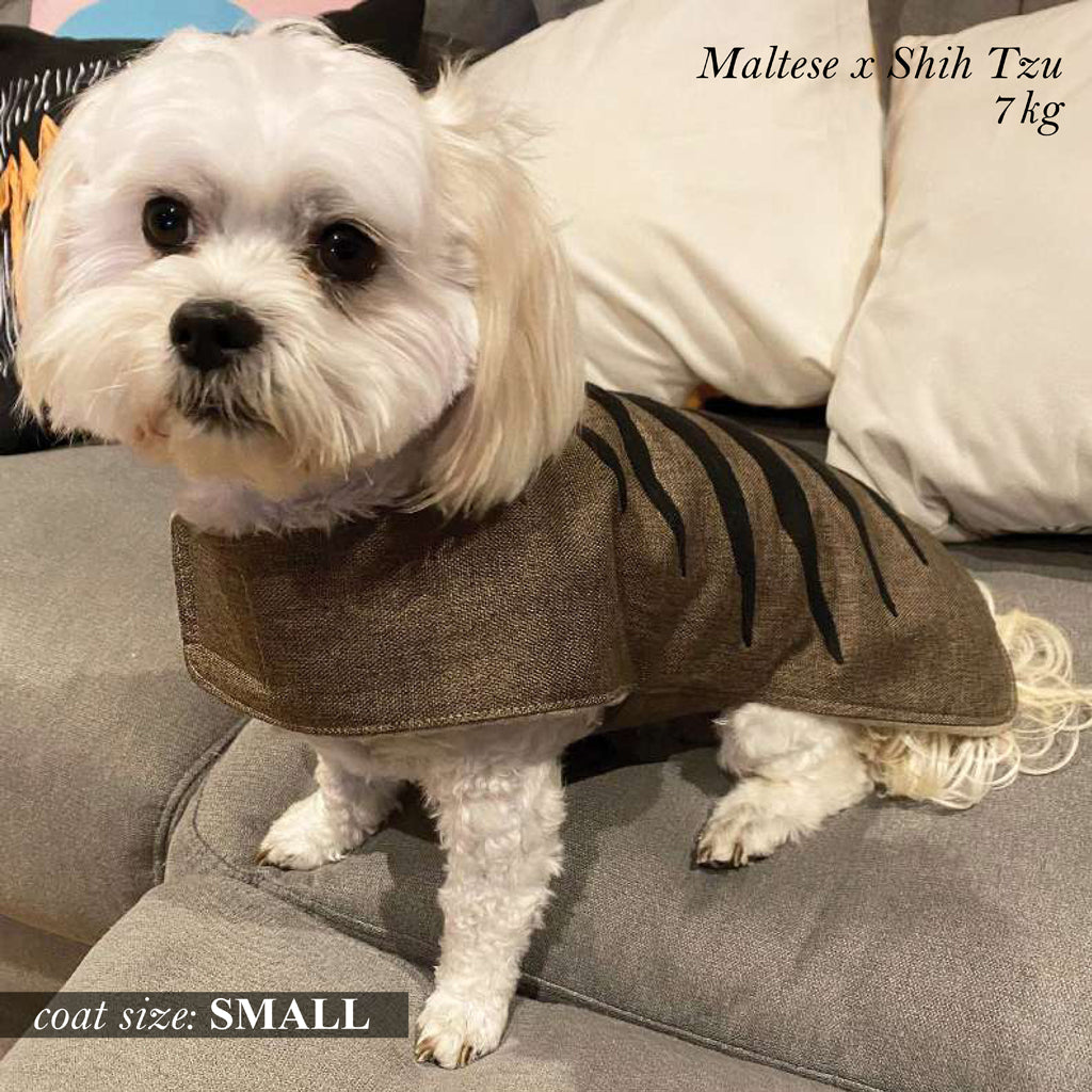 Wild Dog Brown - 7 sizes - XS to L