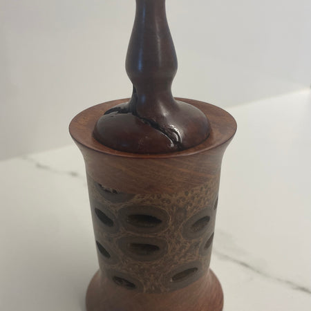 Banksia Seed Pod Essential Oil Diffuser