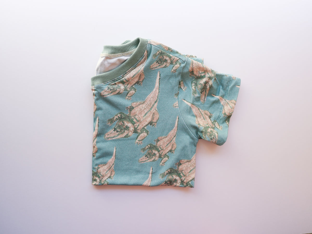 Organic cotton tee shirts for kids in unique hand illustrated designs - sizes 4-9
