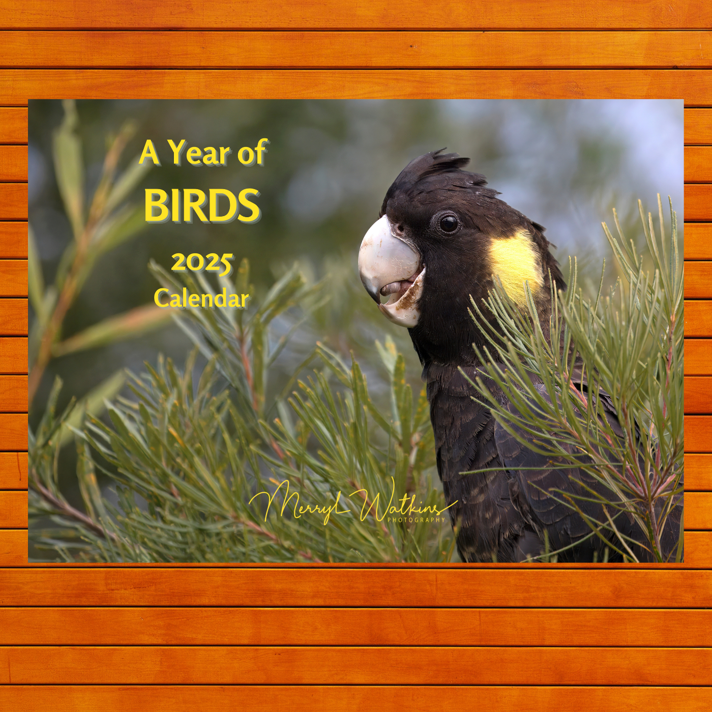 2027 Calendar - A Year of Birds - A4 Photographic Calendar