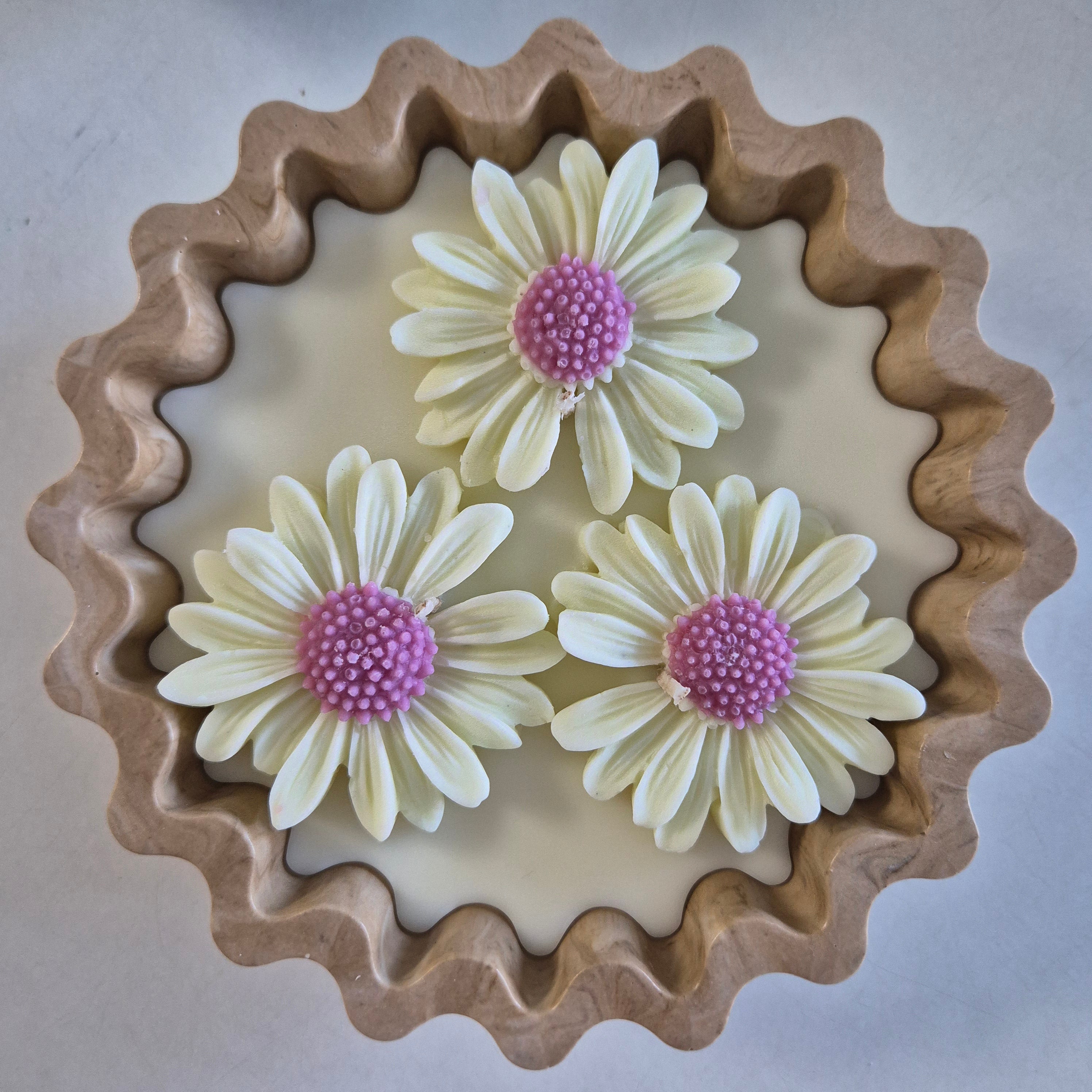 Eco-concrete daisy bowl candle with rose and lavender