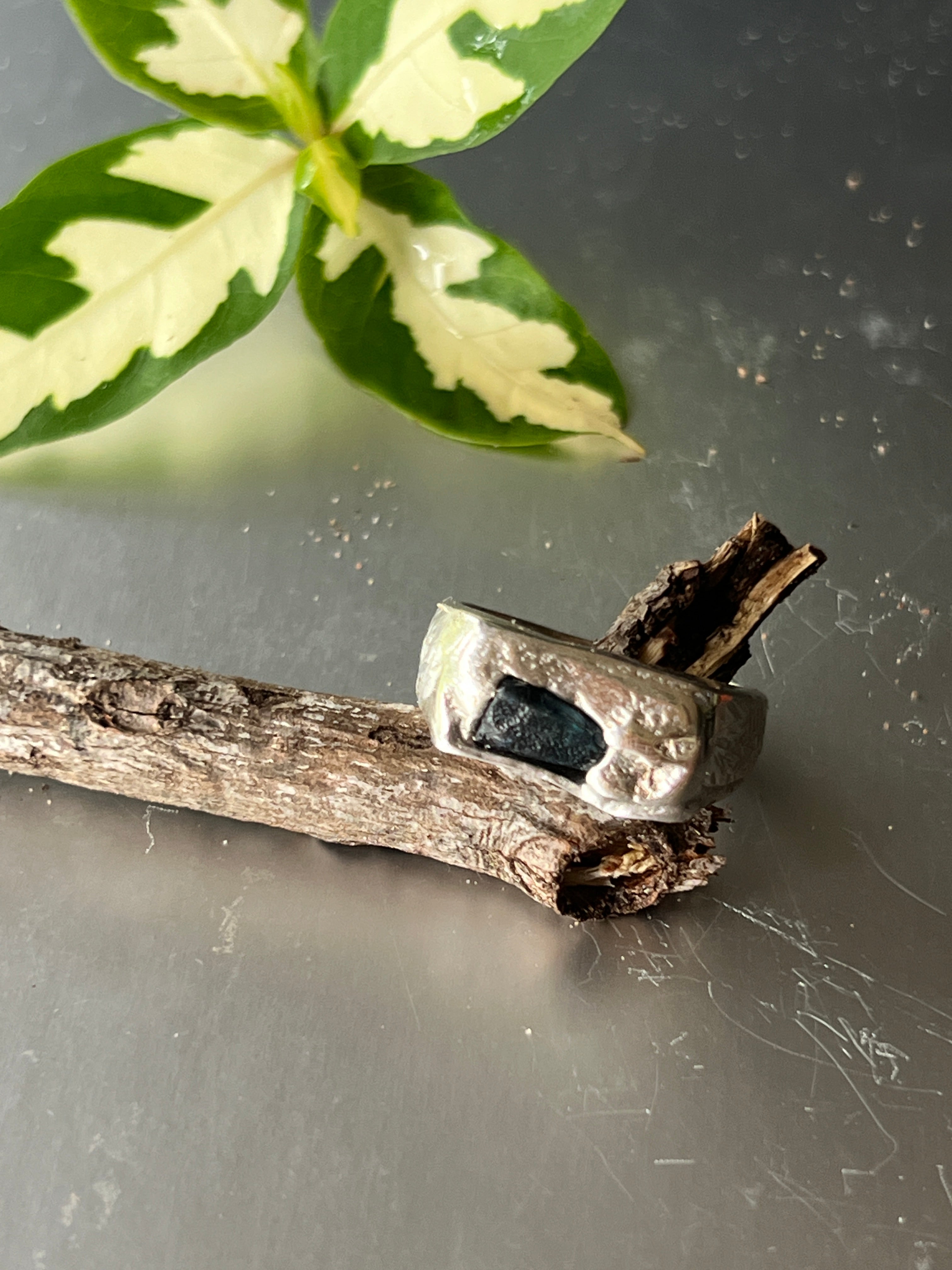 "Darwin" - Sterling Silver Gent's Signet Ring - Size "P"