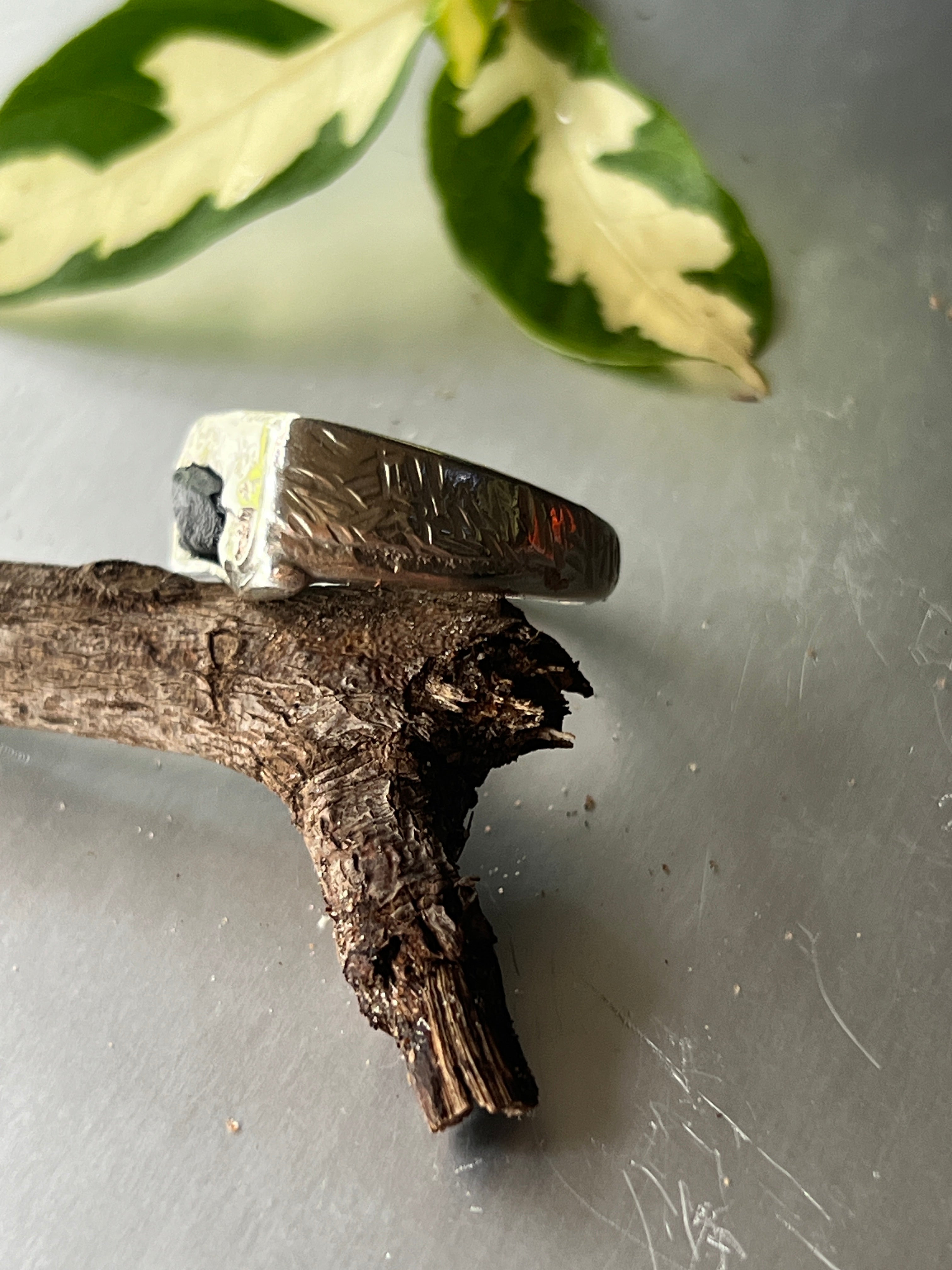 "Darwin" - Sterling Silver Gent's Signet Ring - Size "P"