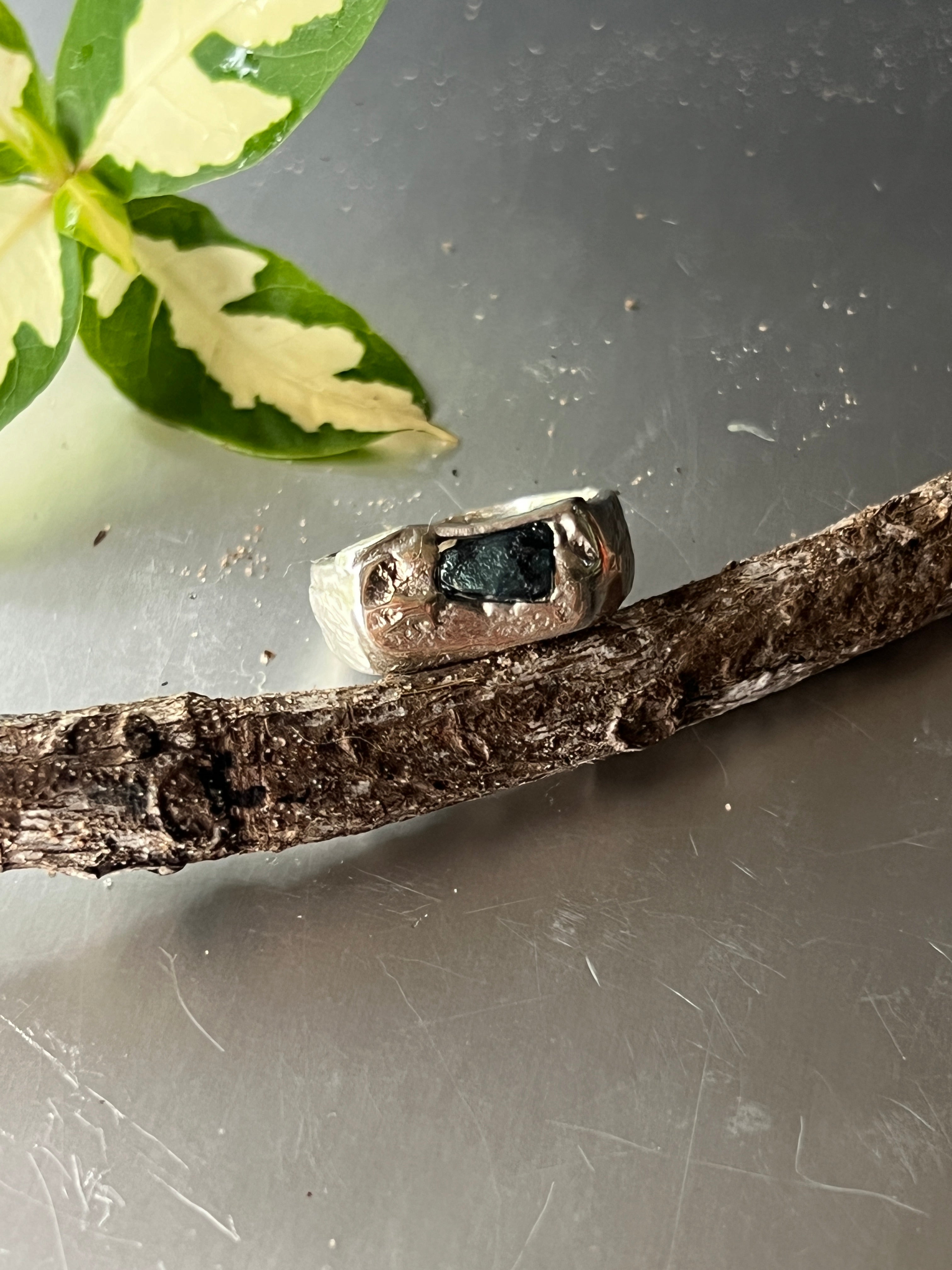 "Darwin" - Sterling Silver Gent's Signet Ring - Size "P"