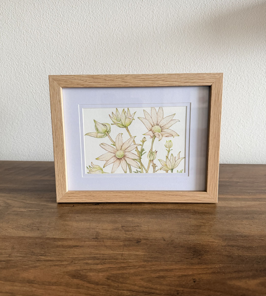 Flannel Flower Botanical Art Card - Handmade Watercolor Greeting Card