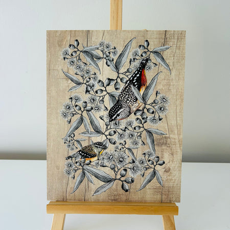 Art Print - Forty Spotted Pardalote