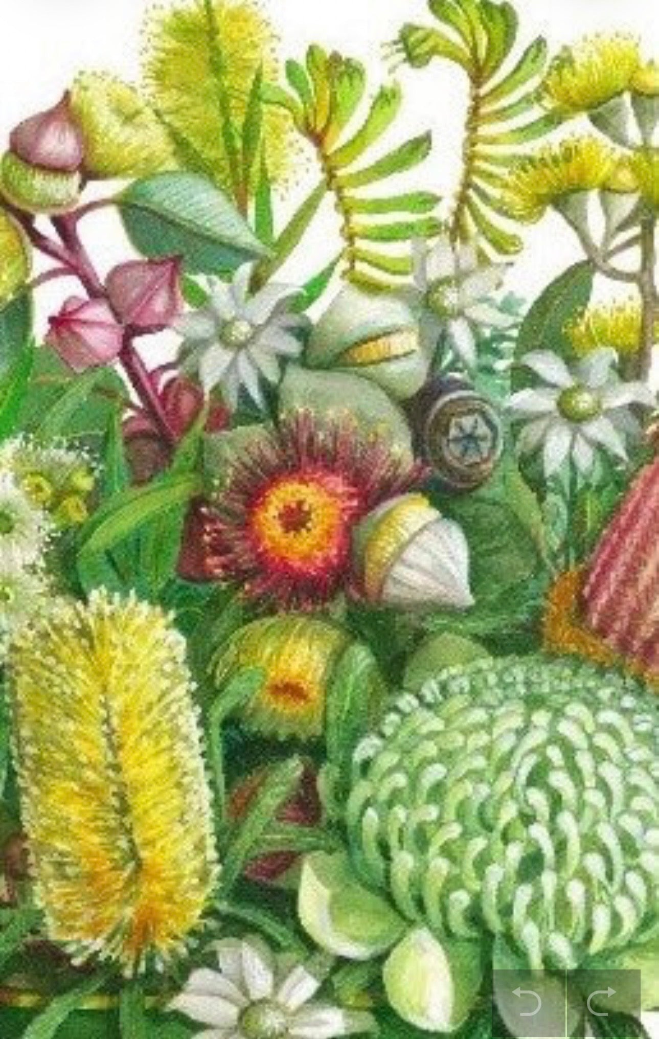 Yellow Natives in Vintage Tin art print by Debra Meier Art