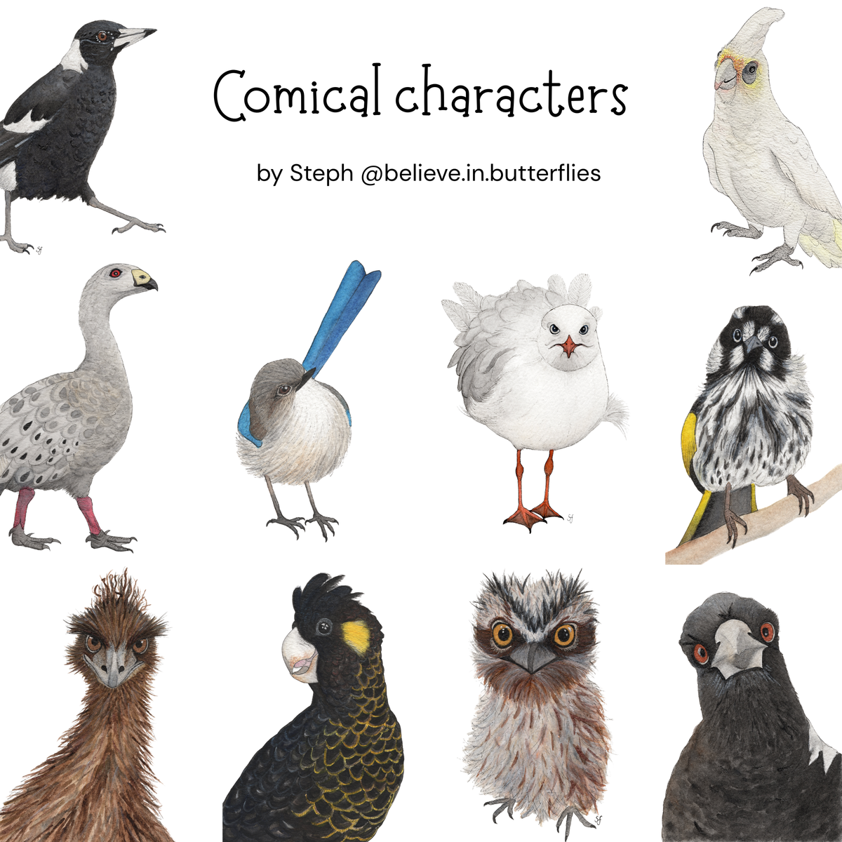Bird gift tags 10 pack (5 sets available)