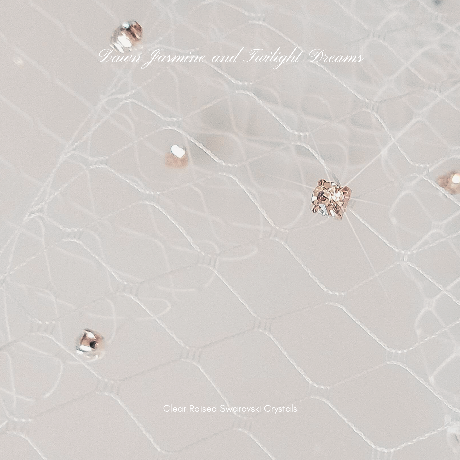 Swarovski® Crystal Side Birdcage Bridal Veil | The Phoebe