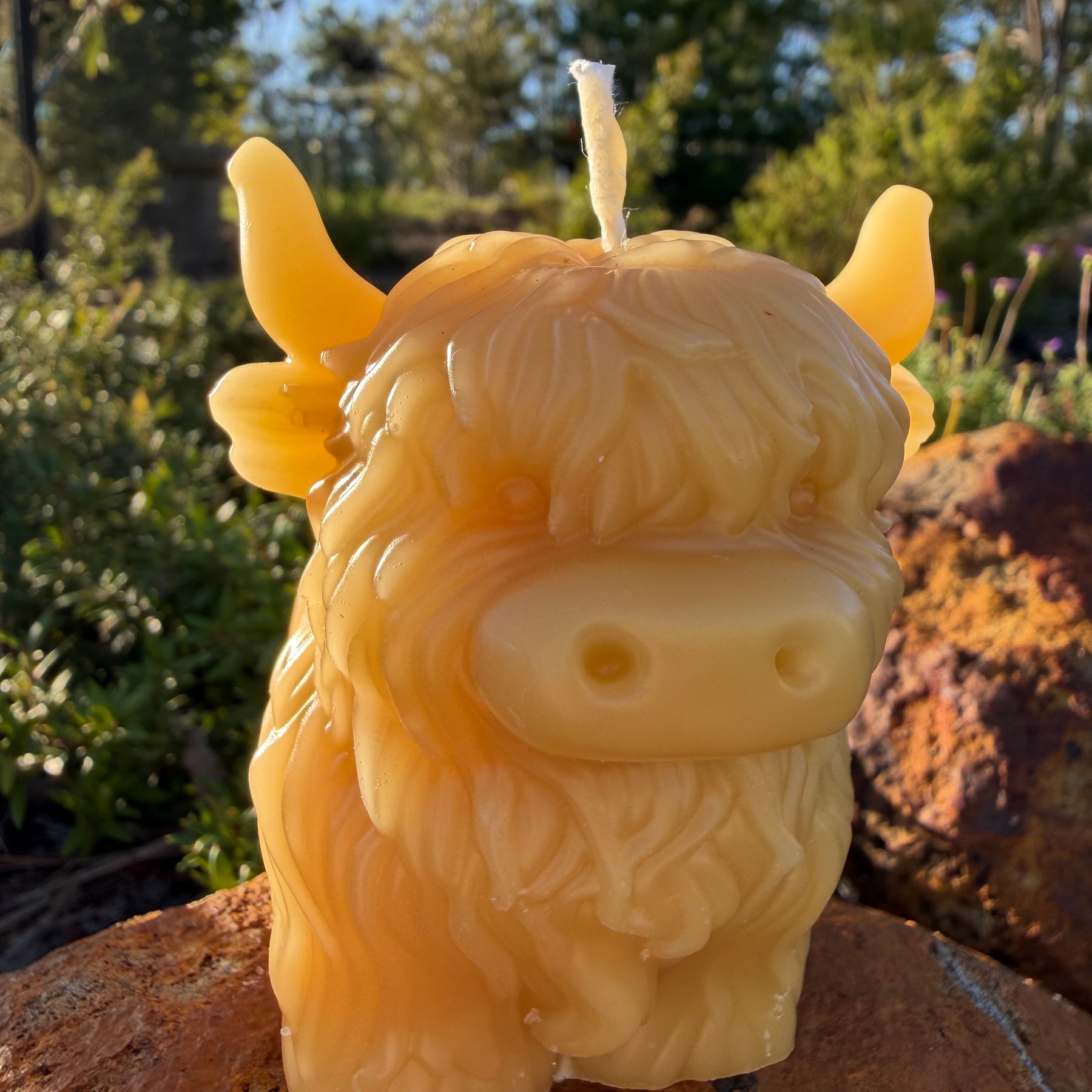 Honey Highland Beeswax Candle