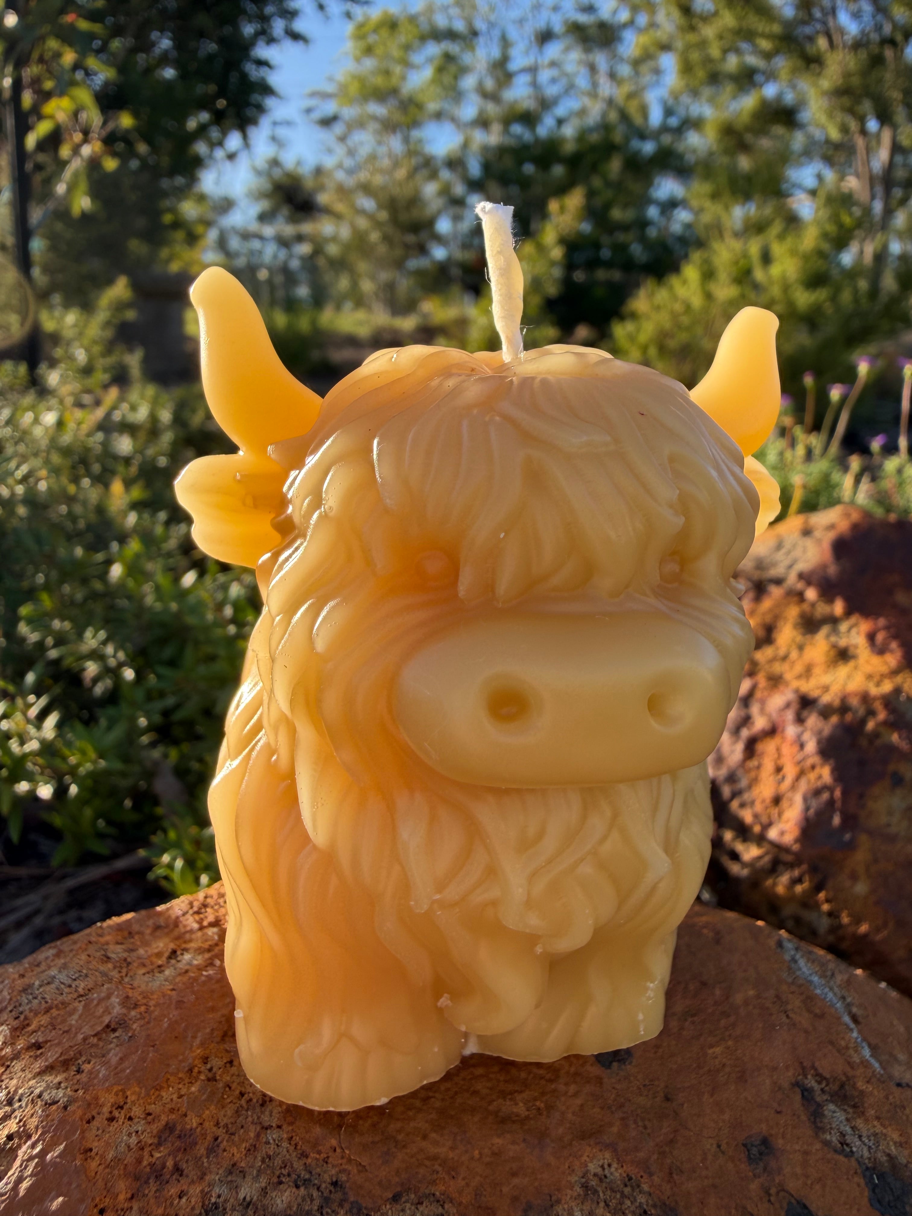 Honey Highland Beeswax Candle