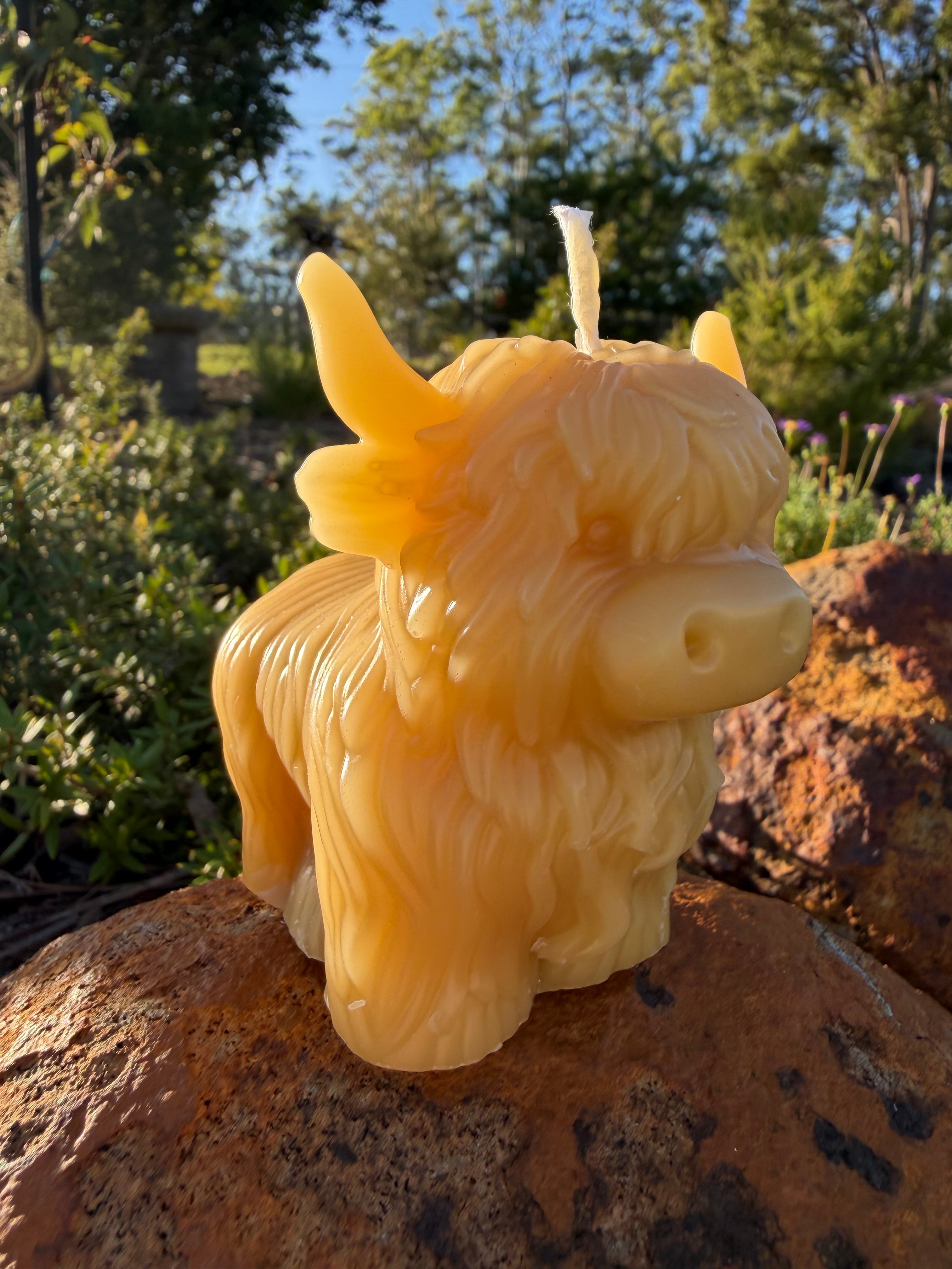 Honey Highland Beeswax Candle
