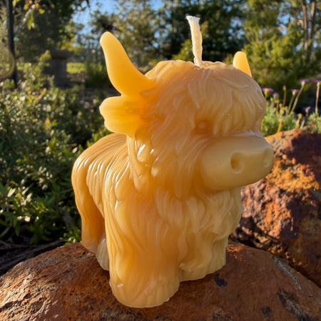Honey Highland Beeswax Candle