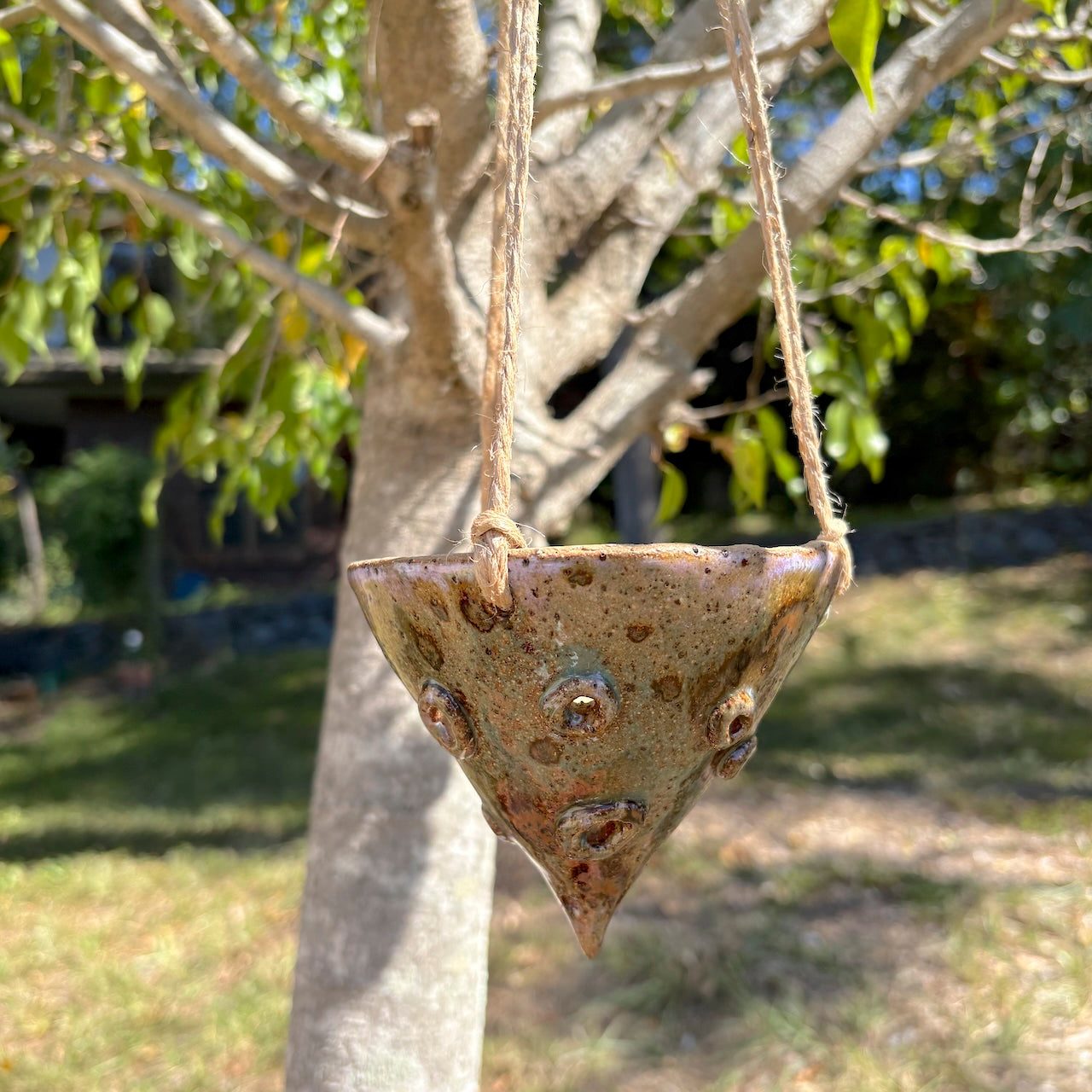 Ceramic hanging shallow cone orchid pot
