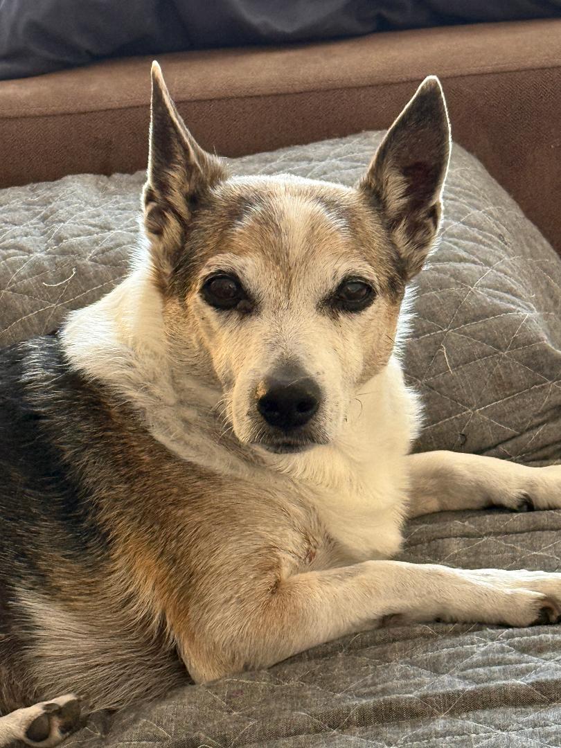 Custom Listing DeNiro