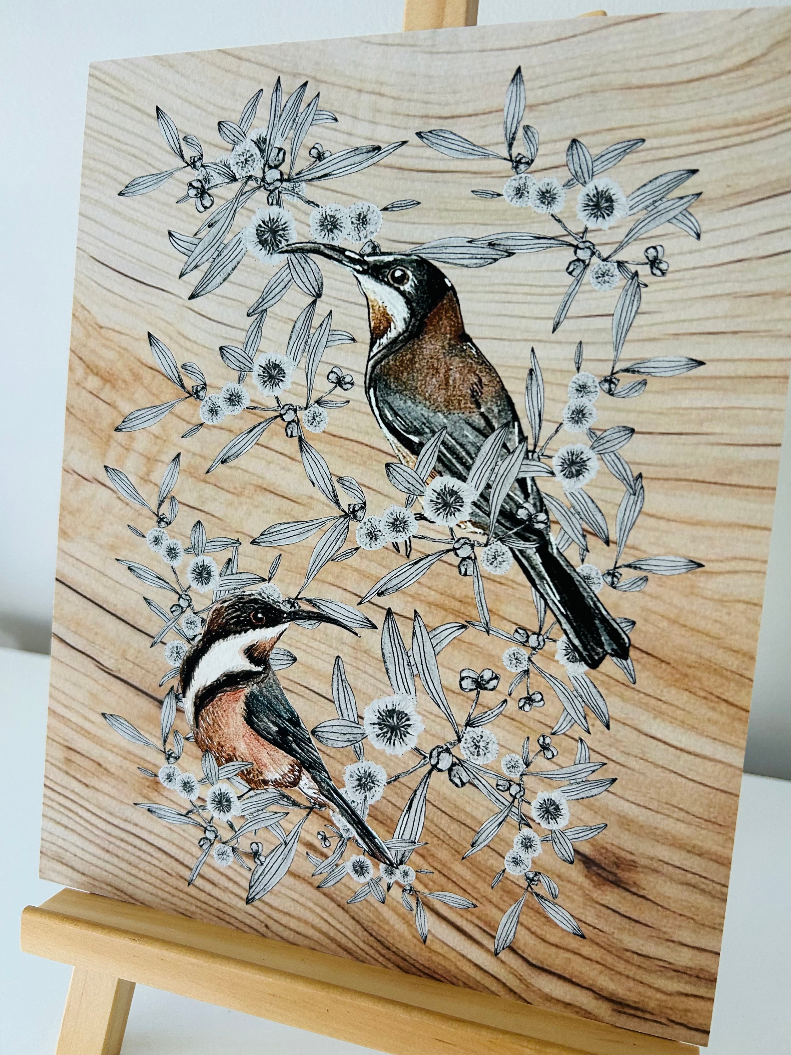 Art Print - Eastern Spinebill