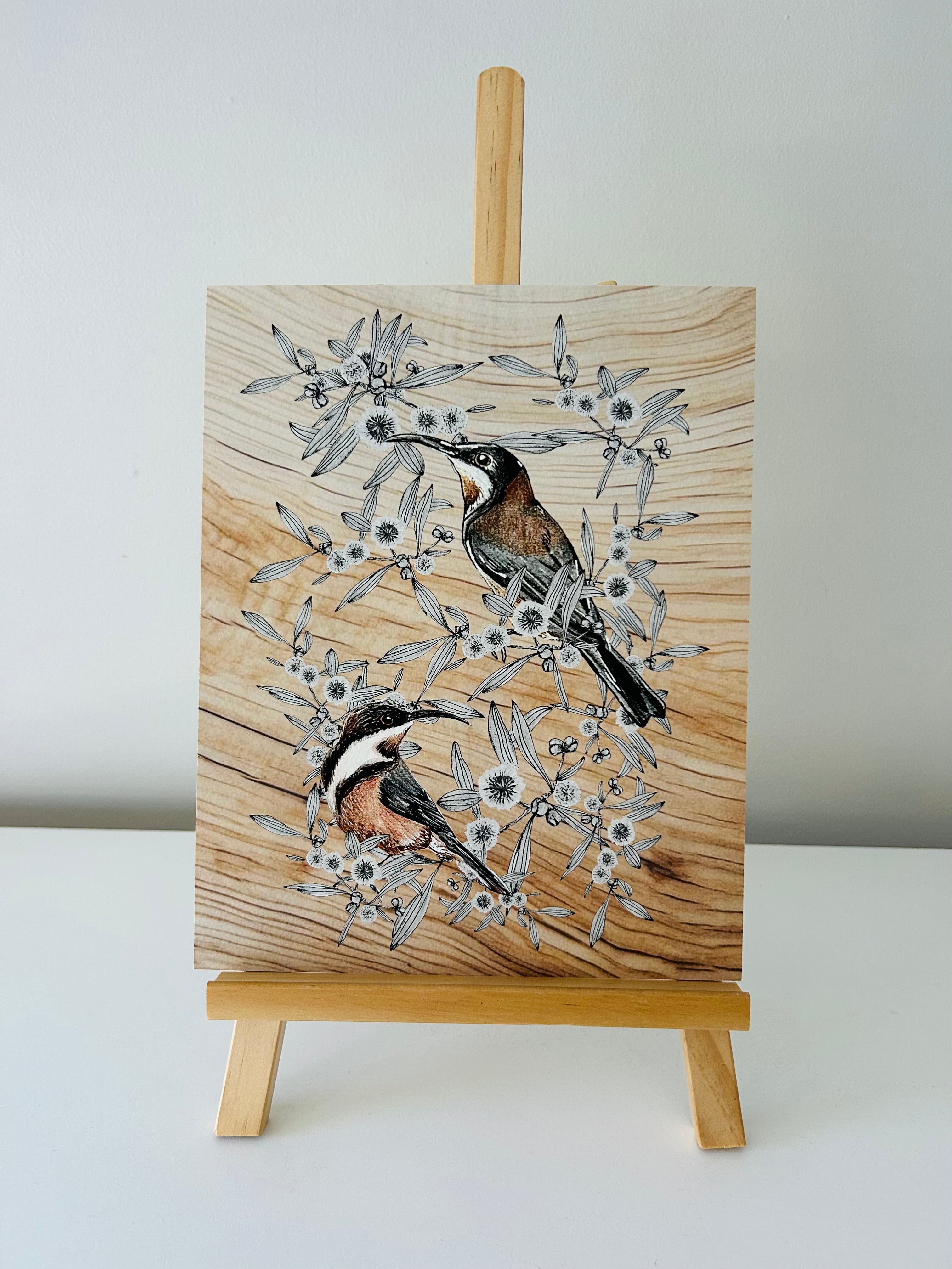 Art Print - Eastern Spinebill