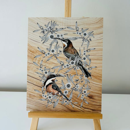 Art Print - Eastern Spinebill