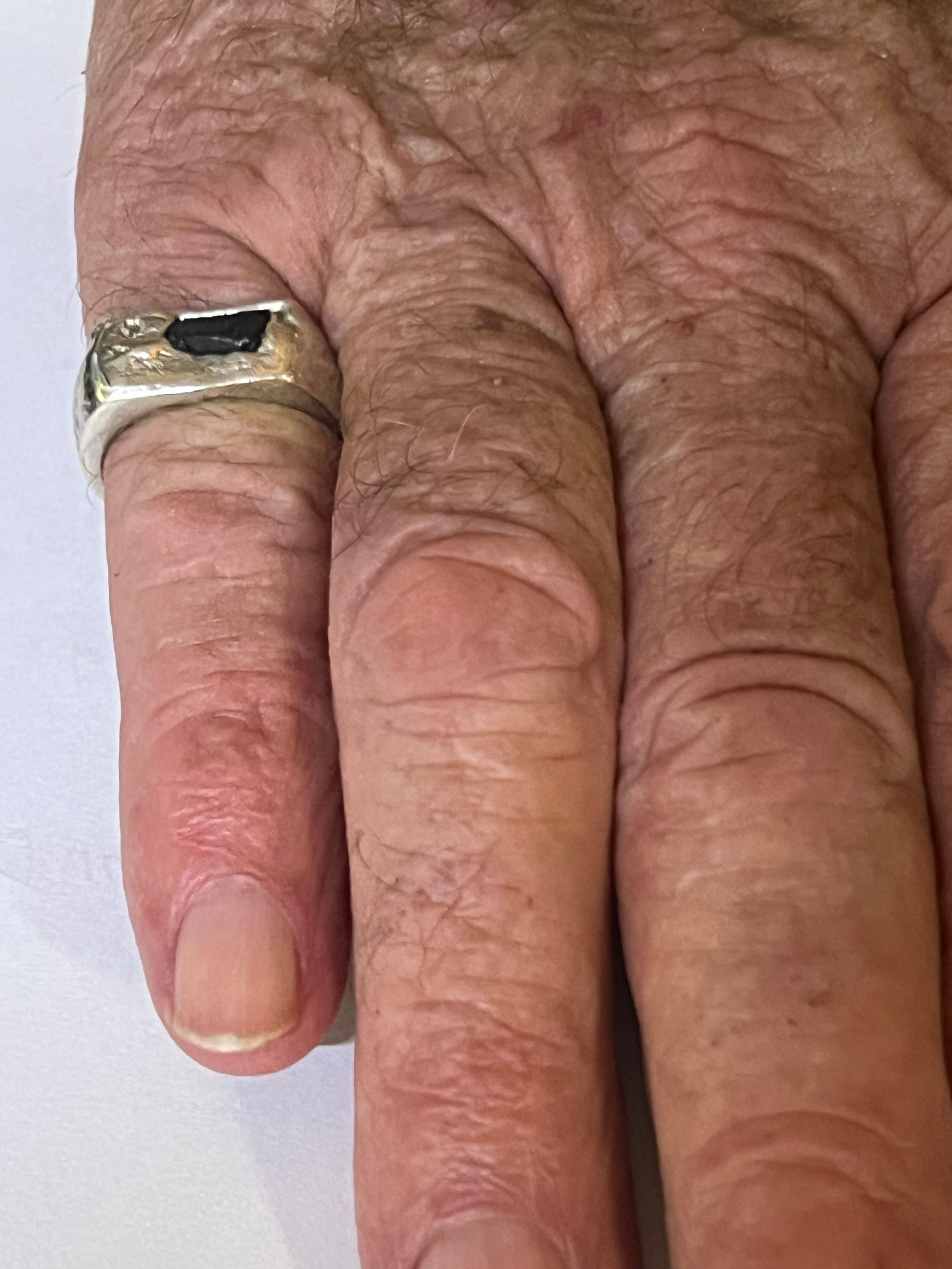 "Darwin" - Sterling Silver Gent's Signet Ring - Size "P"