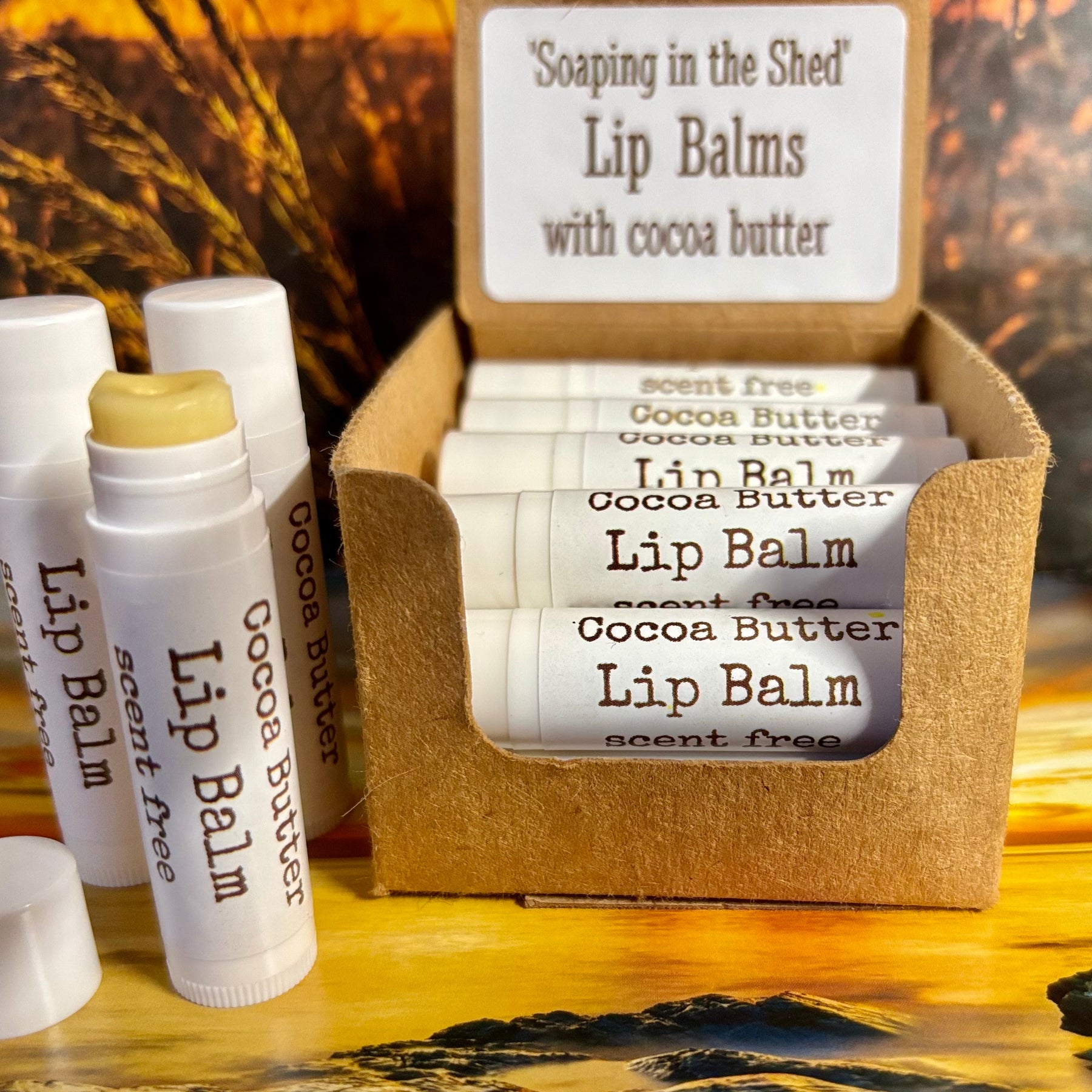 Cocoa Butter Lip Balm Pack of 6