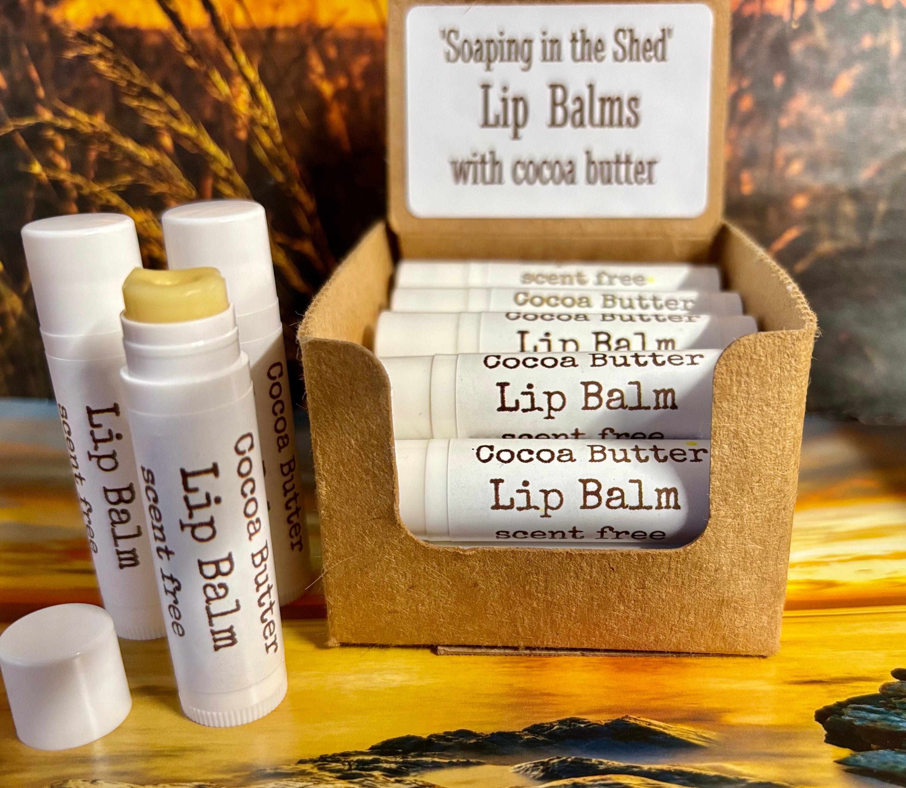 Cocoa Butter Lip Balm Pack of 6
