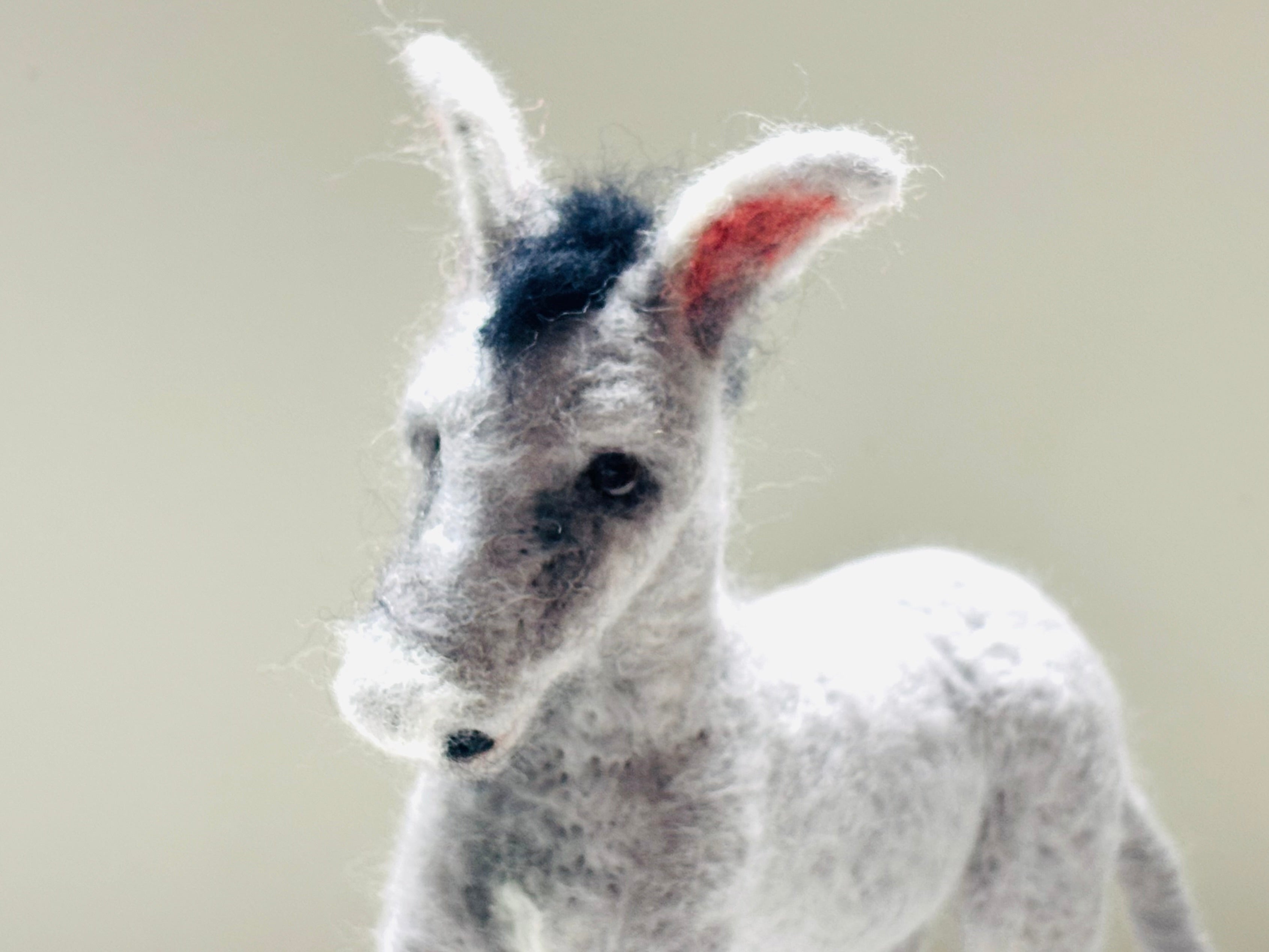 Needle Felt Donkey Animal Art Doll posable Unique