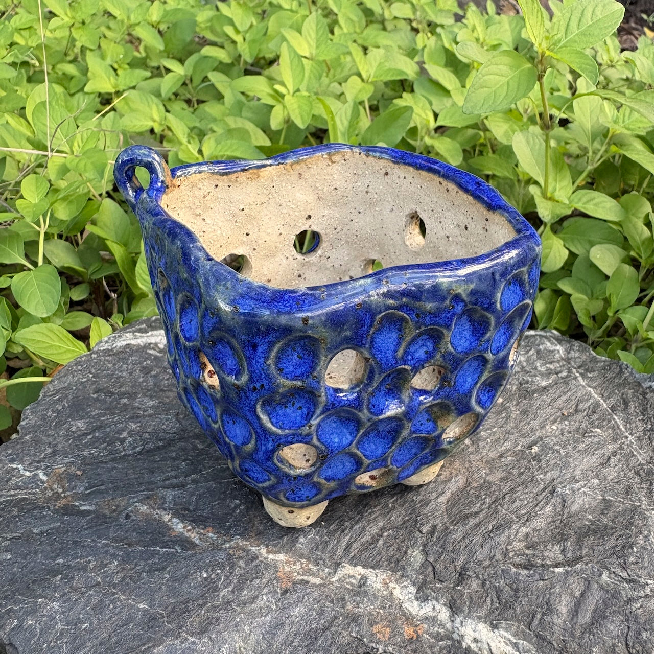 Ceramic square orchid pot